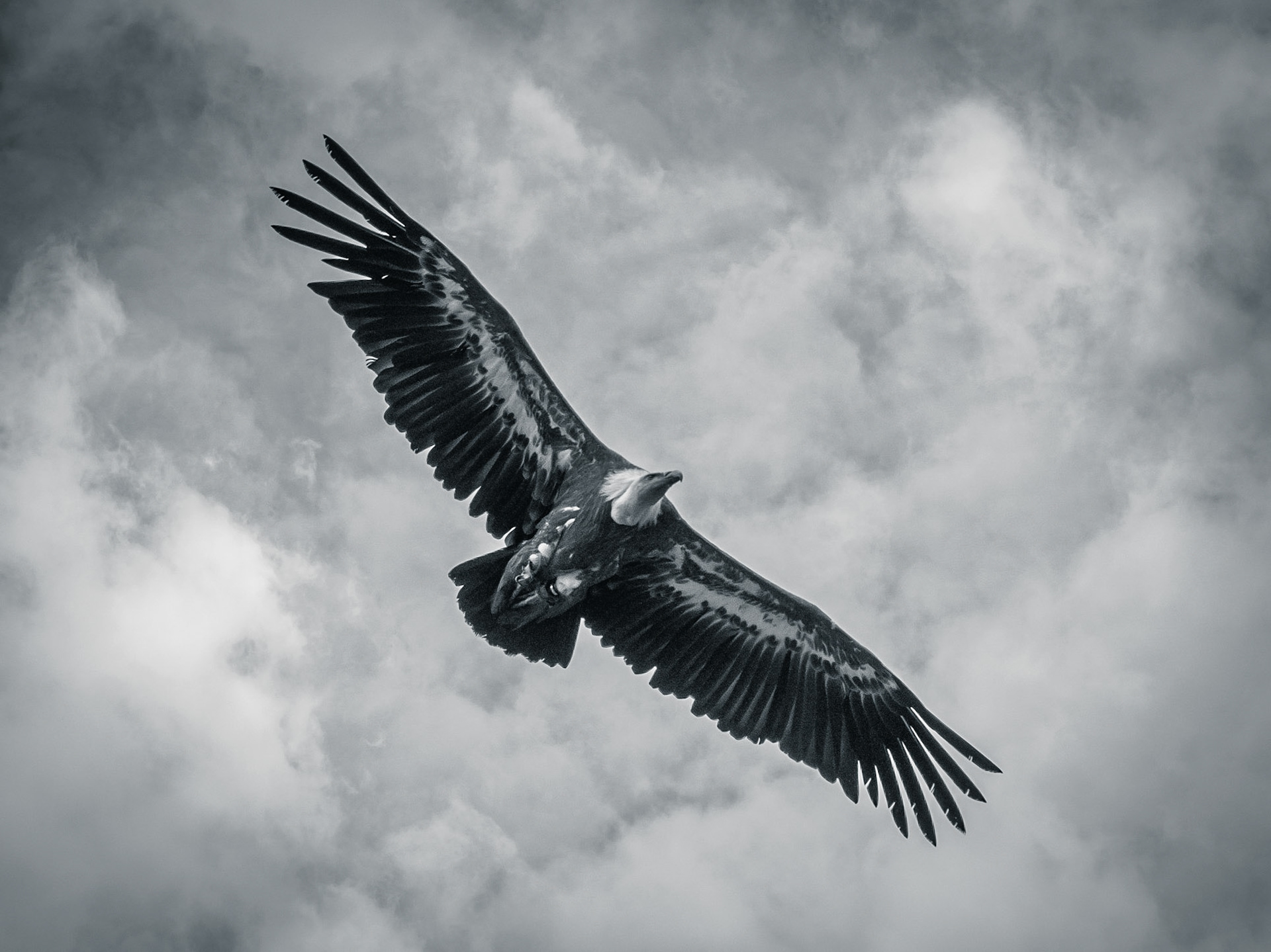 Salzburger Land 2015