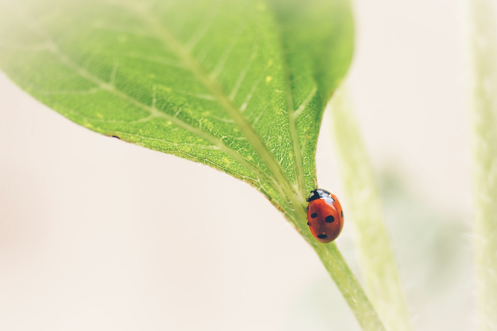 Spring is coming. Let us enjoy nature!