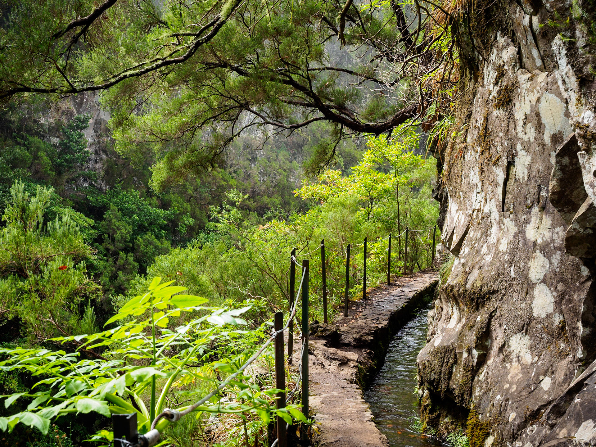 This is a typical view when you walk along a Levada on Madeira. Isn't it beautiful?Shot on the way back of the Levada of the Green Cauldron.