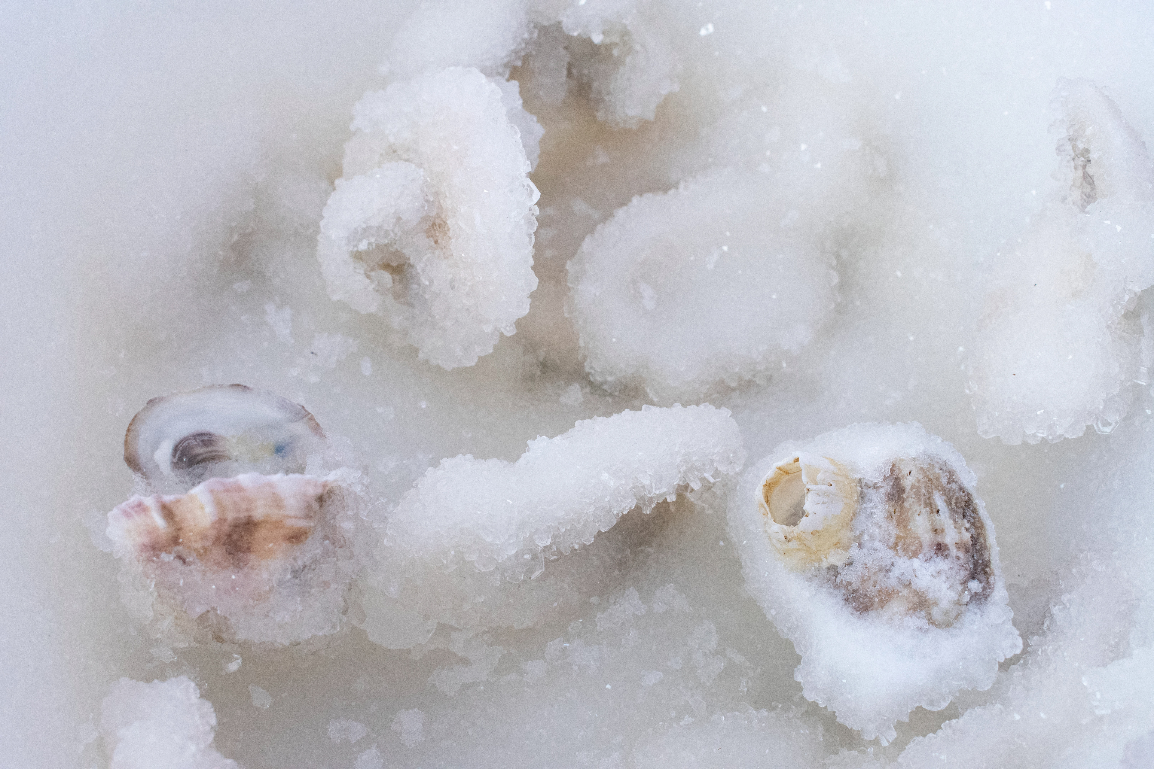Crystals and oyster shells