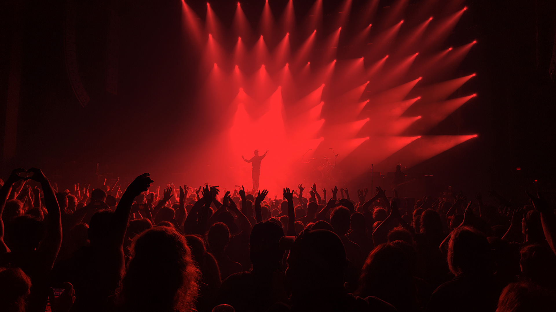 Green Day Concert Photography by Landon Elmore