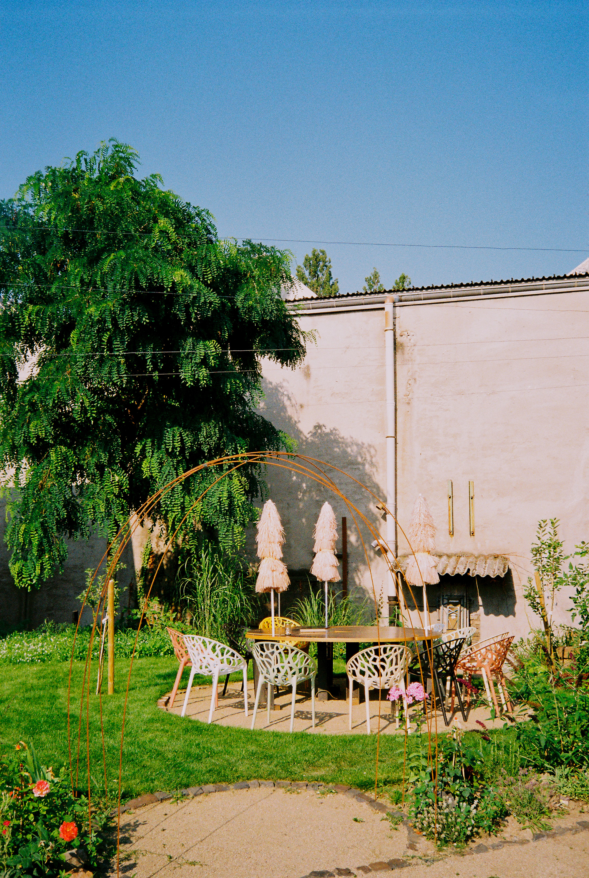 Kodak Gold 200, Olympus mju-I, August 2021