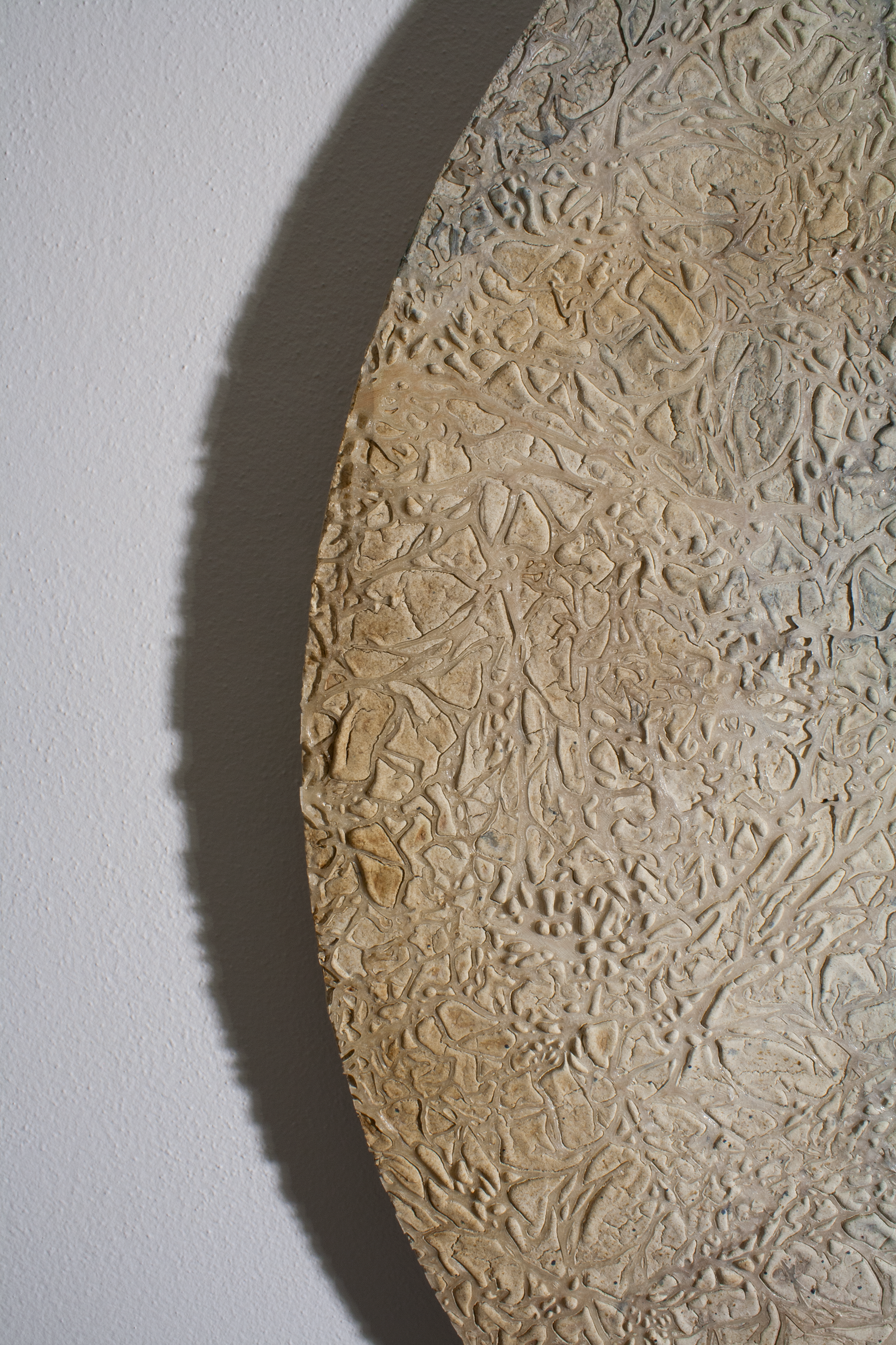 Pittura polimaterica su legno WWW (Water Wide Web) acqua e micelio che si incontrano in un cerchio esposto al Castello di Legnano per la mostra Tracce con l'Accademia di Brera - Simone Bertuzzi