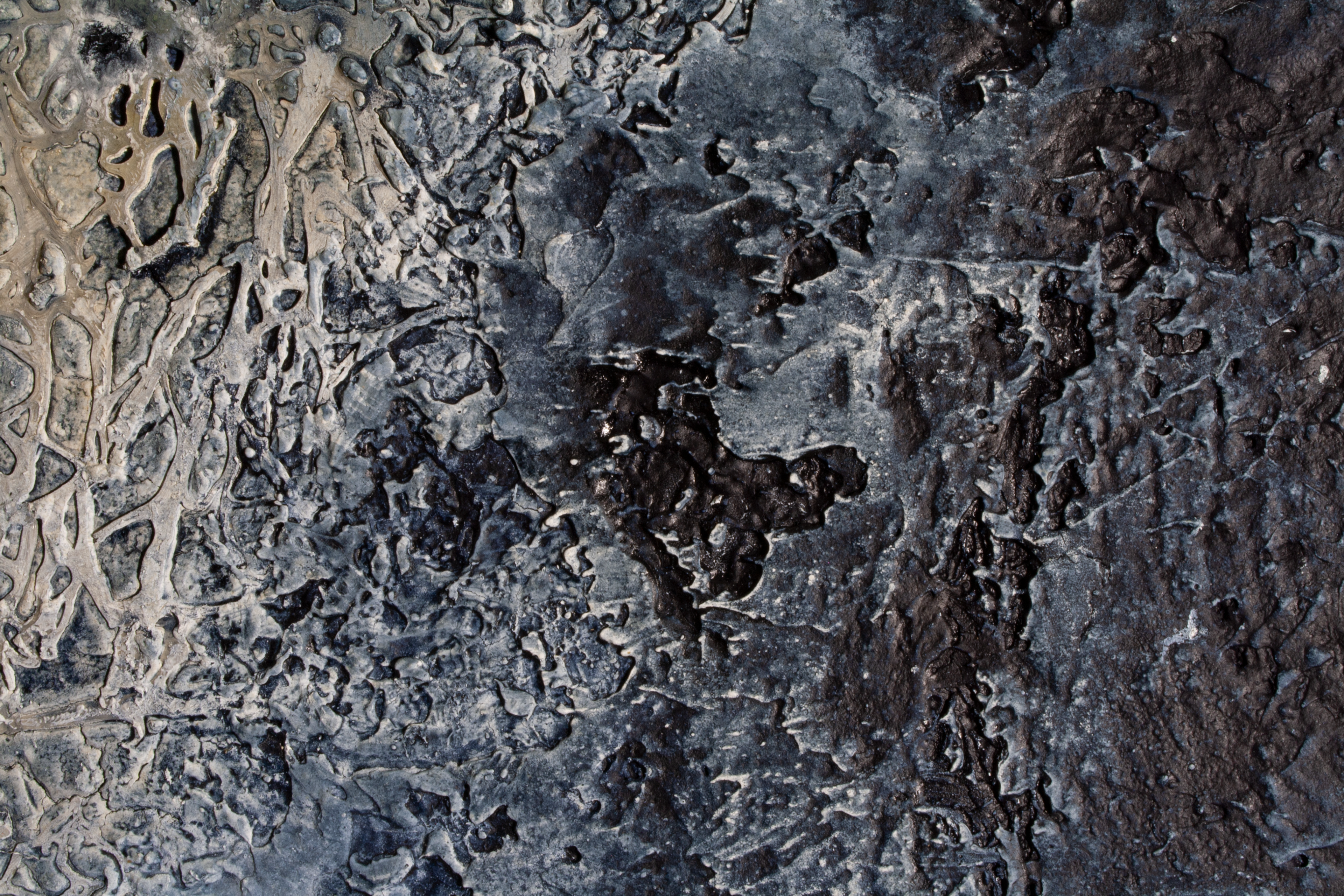 Pittura polimaterica su legno WWW (Water Wide Web) acqua e micelio che si incontrano in un cerchio esposto al Castello di Legnano per la mostra Tracce con l'Accademia di Brera - Simone Bertuzzi