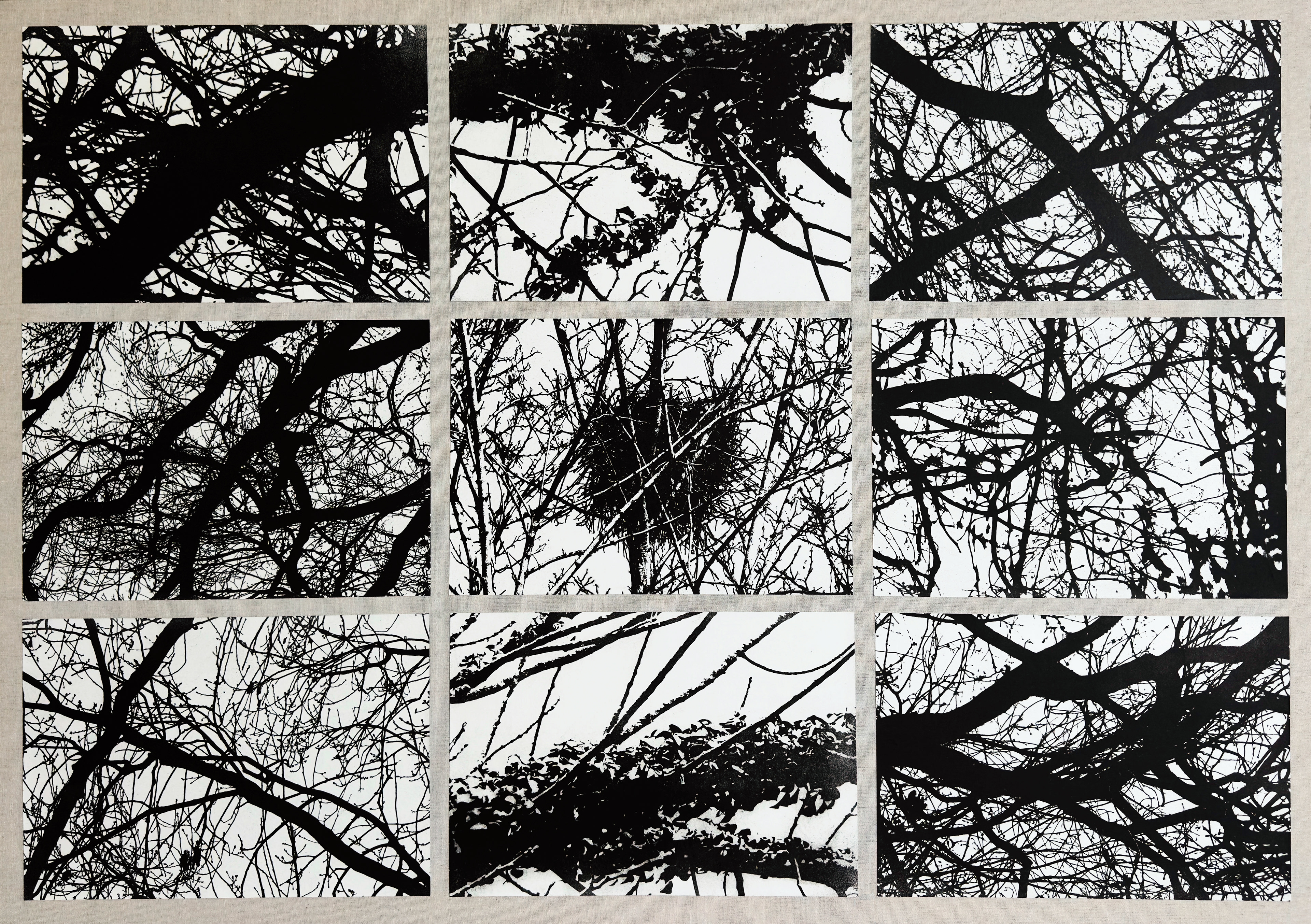 Carta foderata su tela con stampa Gum Print di natura protetta - Simone Bertuzzi