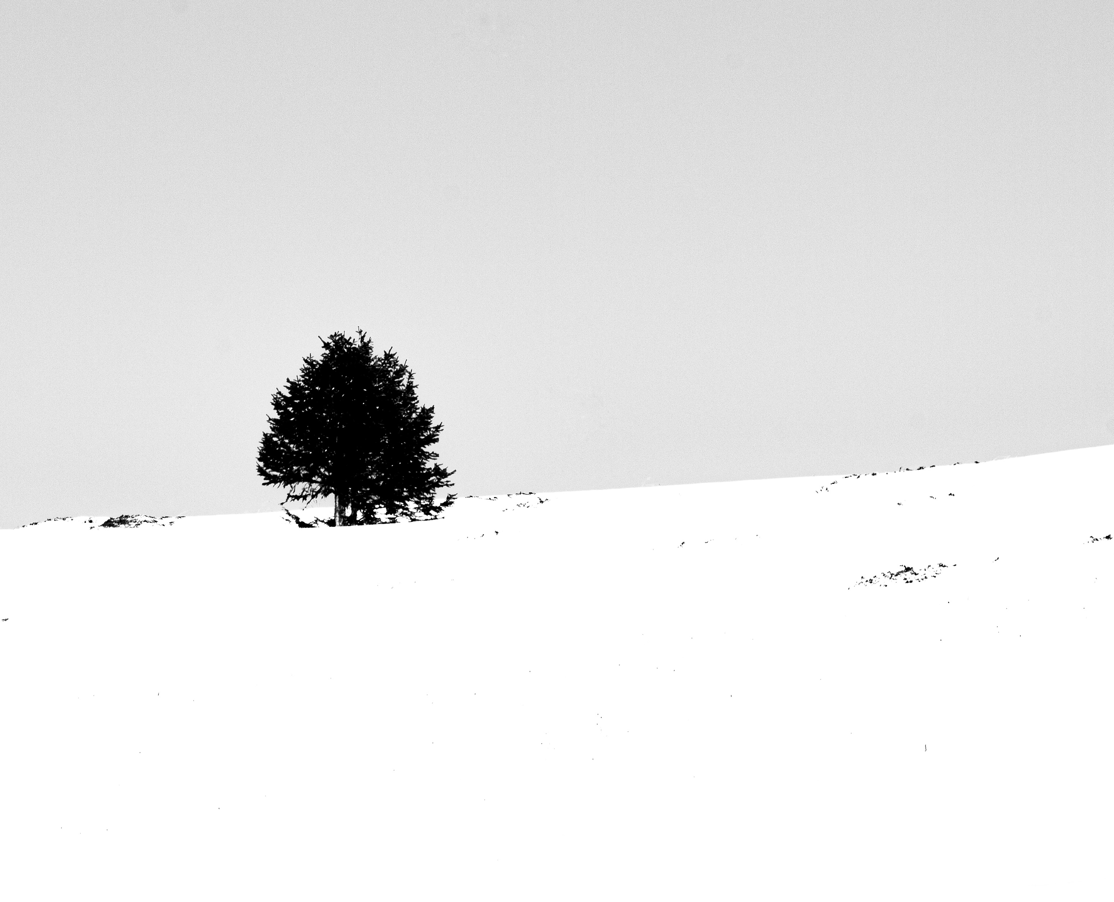 Pittura su tela in acrilico rappresenta paesaggio di montagna silenzioso - Simone Bertuzzi artista