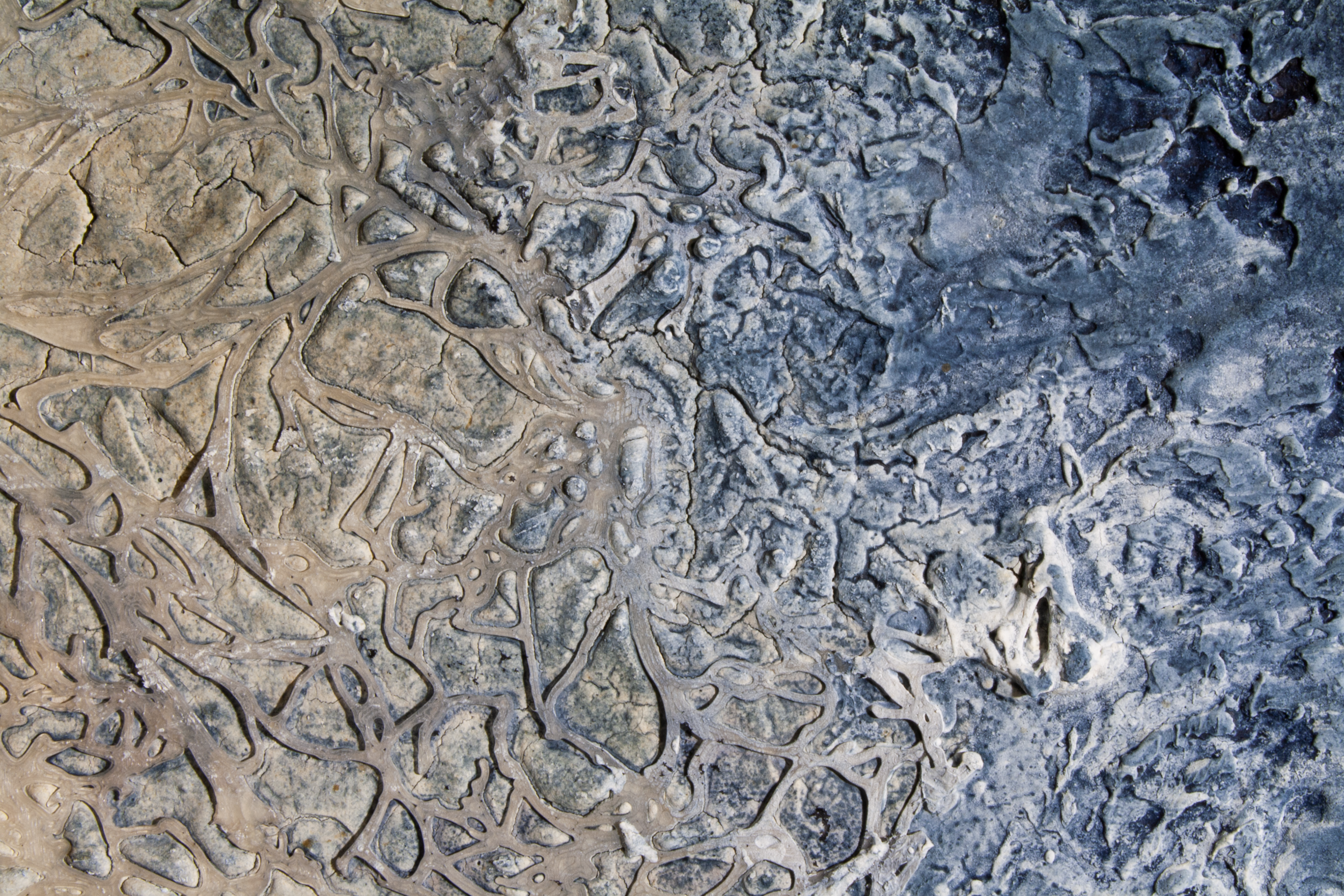 Pittura polimaterica su legno WWW (Water Wide Web) acqua e micelio che si incontrano in un cerchio esposto al Castello di Legnano per la mostra Tracce con l'Accademia di Brera - Simone Bertuzzi