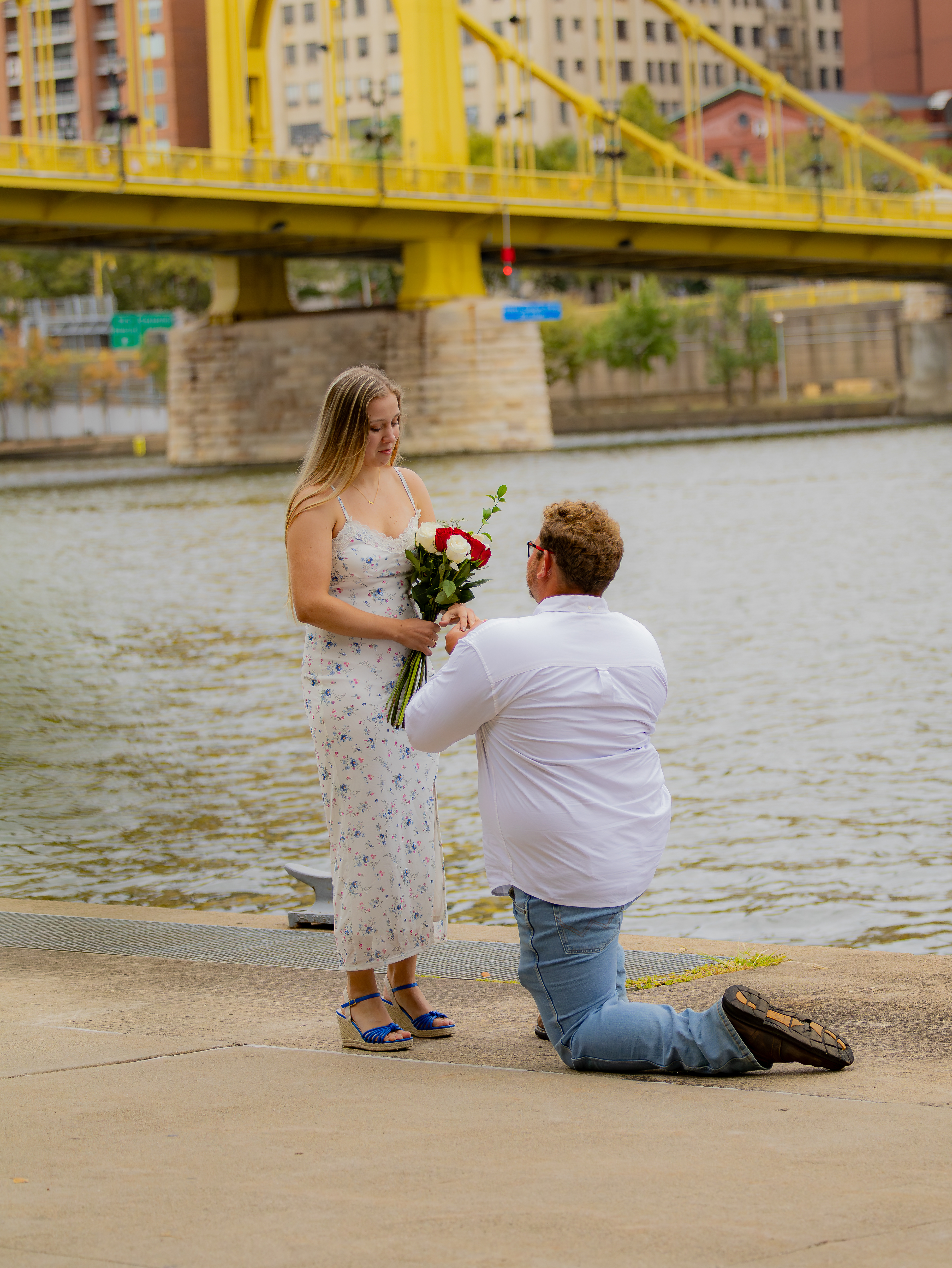 Beautiful proposal on the North Shore of Pittsburgh.
