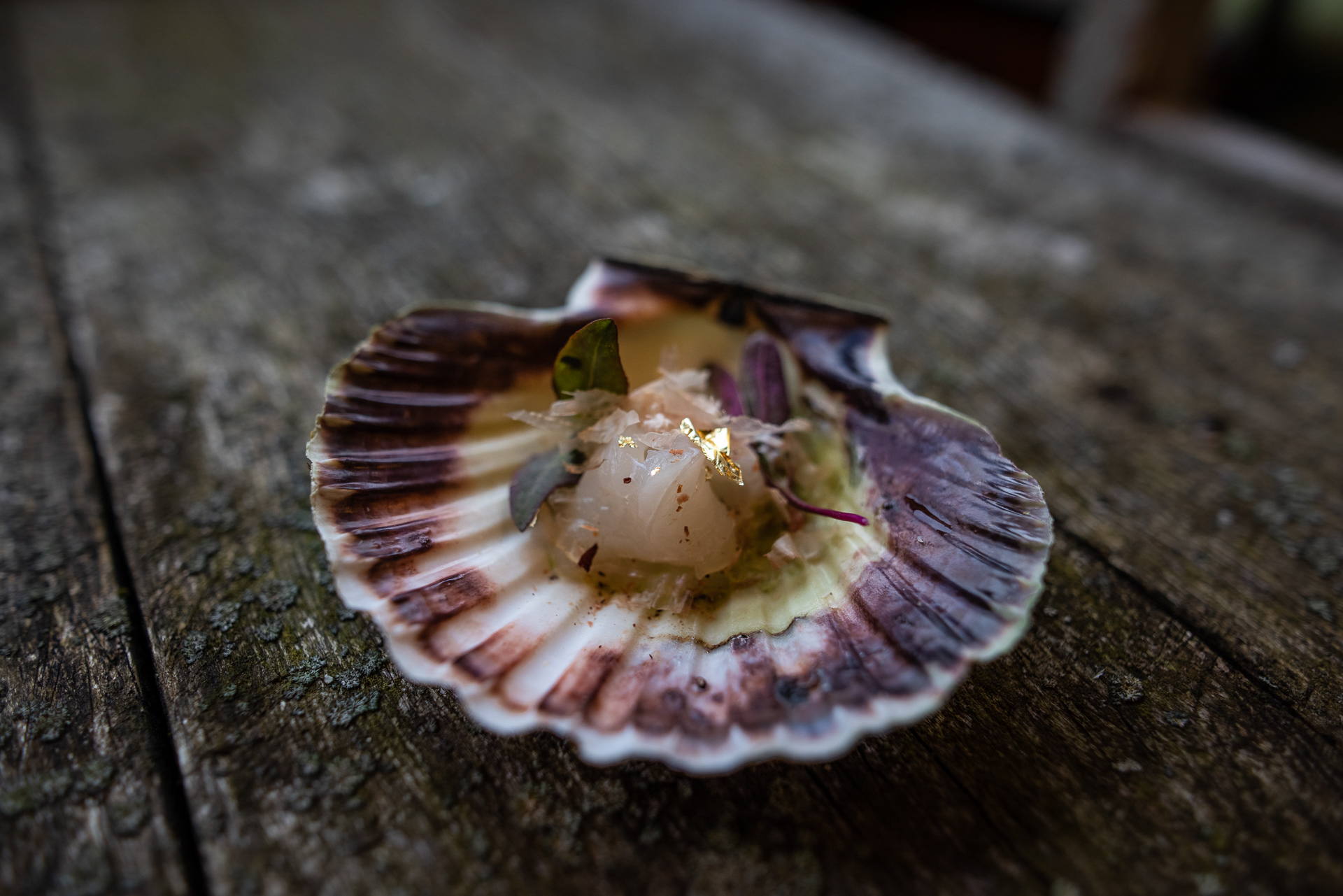 Træna, Vladimir Pak