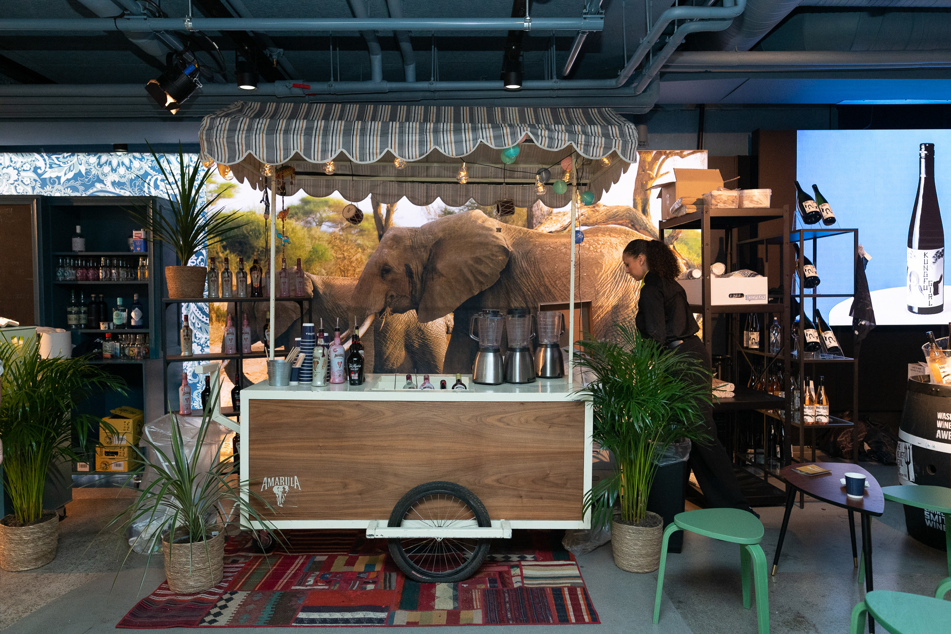 Anora, Ett Glass. Rebel