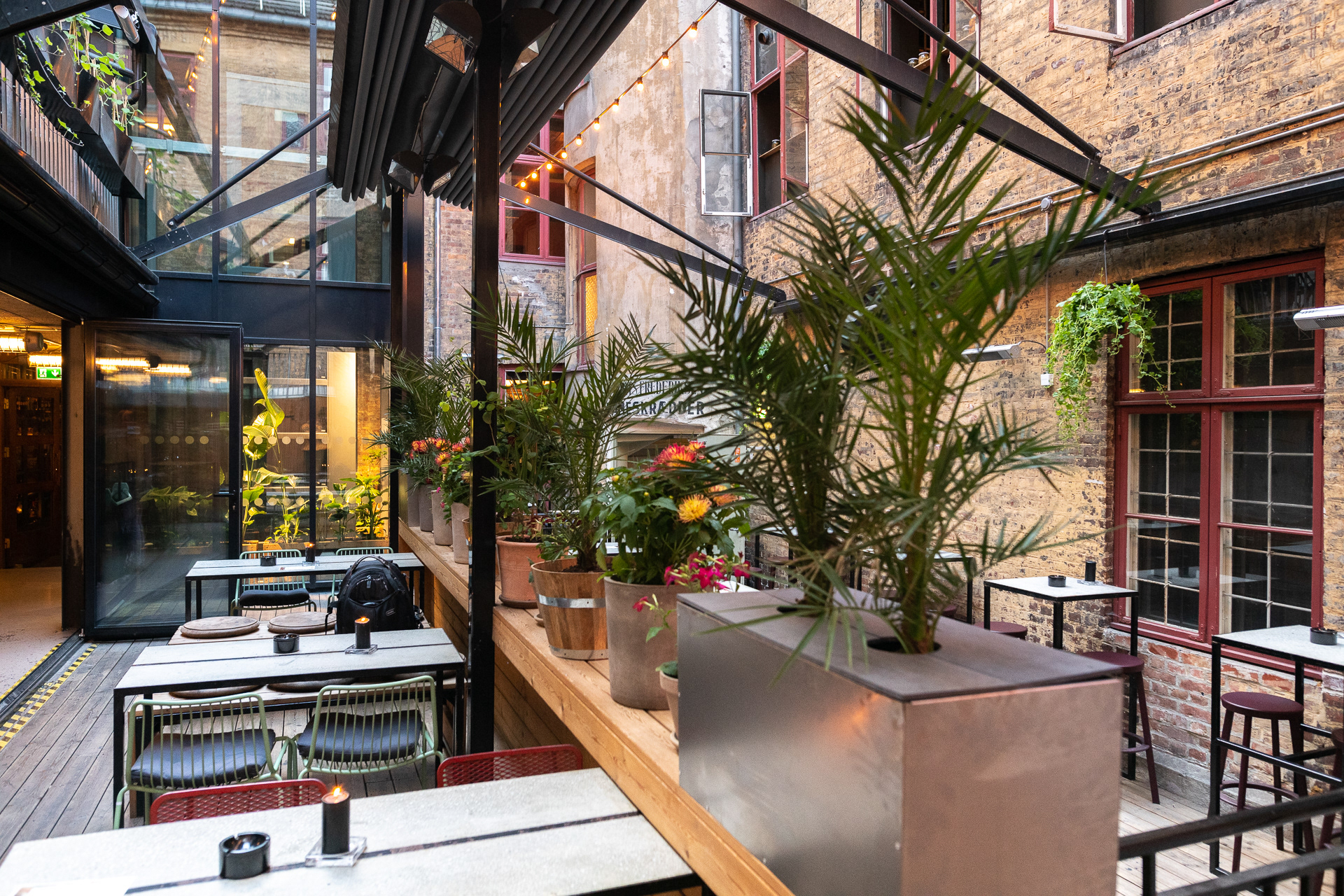 Himkok beplantning uteområde