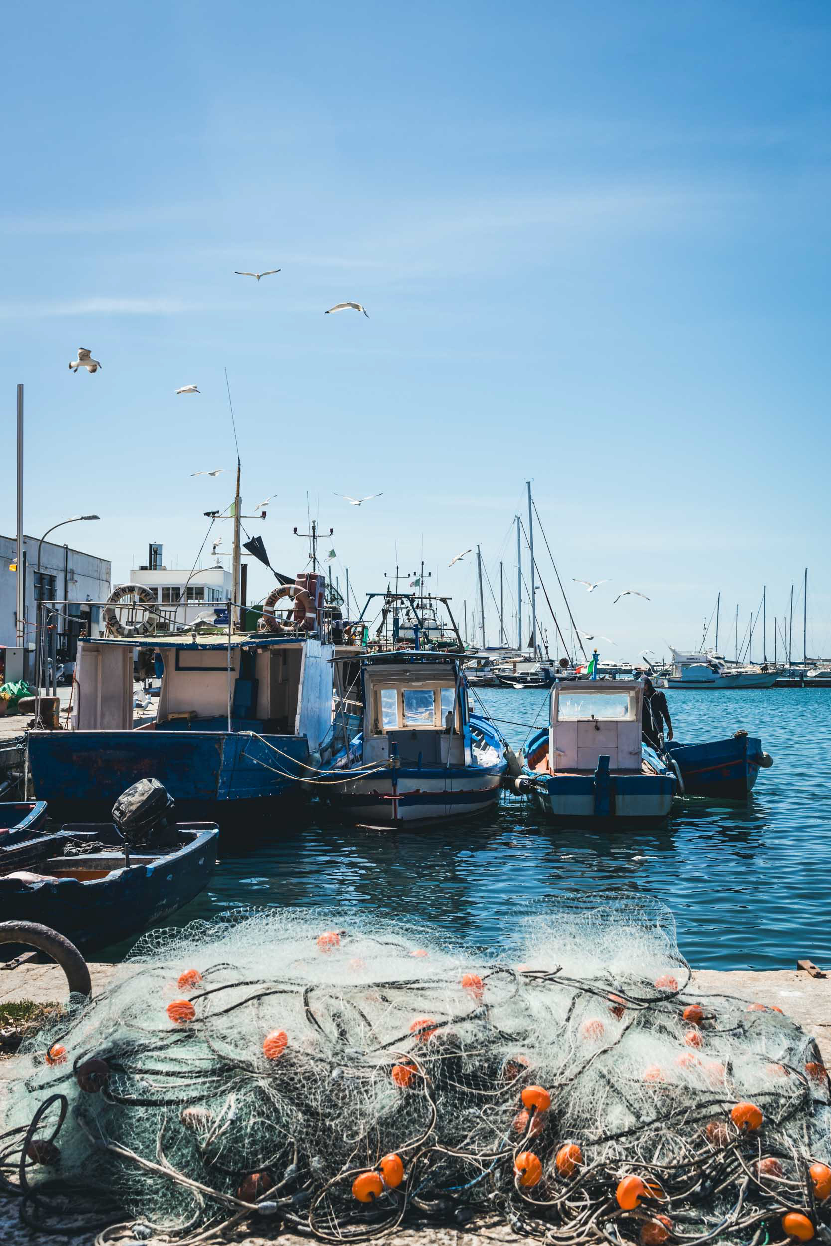 Favignana