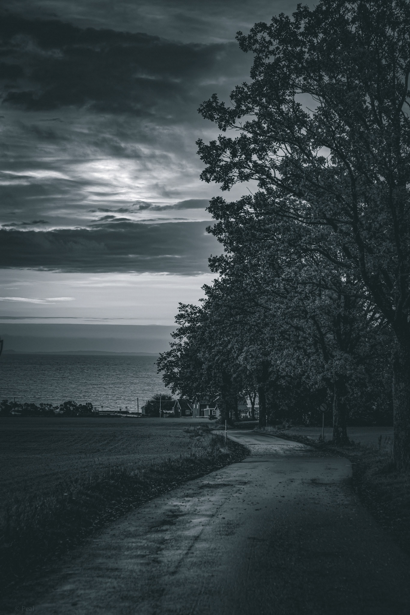 Long way back home
