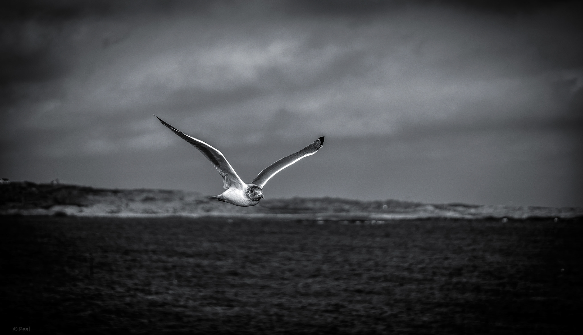 Fly to nowhere
