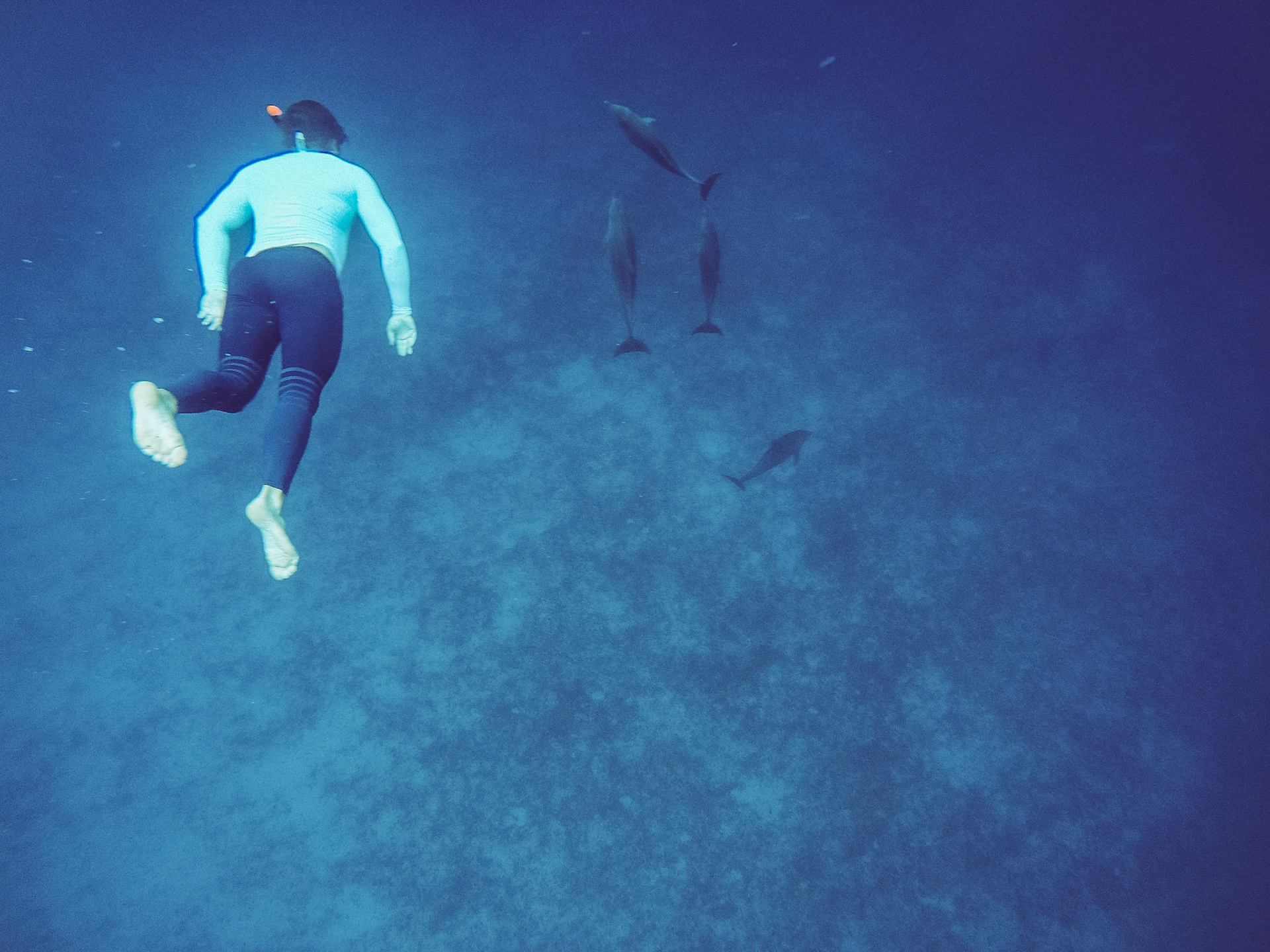 DCIM\106GOPRO\G0302654.