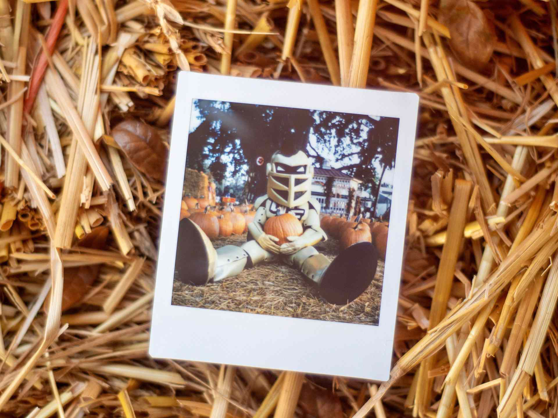 UCF's mascot Knightro, celebrating Halloween.