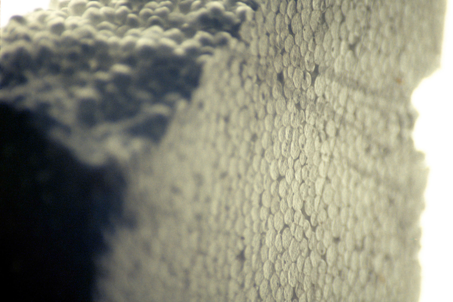 Insullation; Chromogenic print from transparency, 8 x 12 inches; © 2008