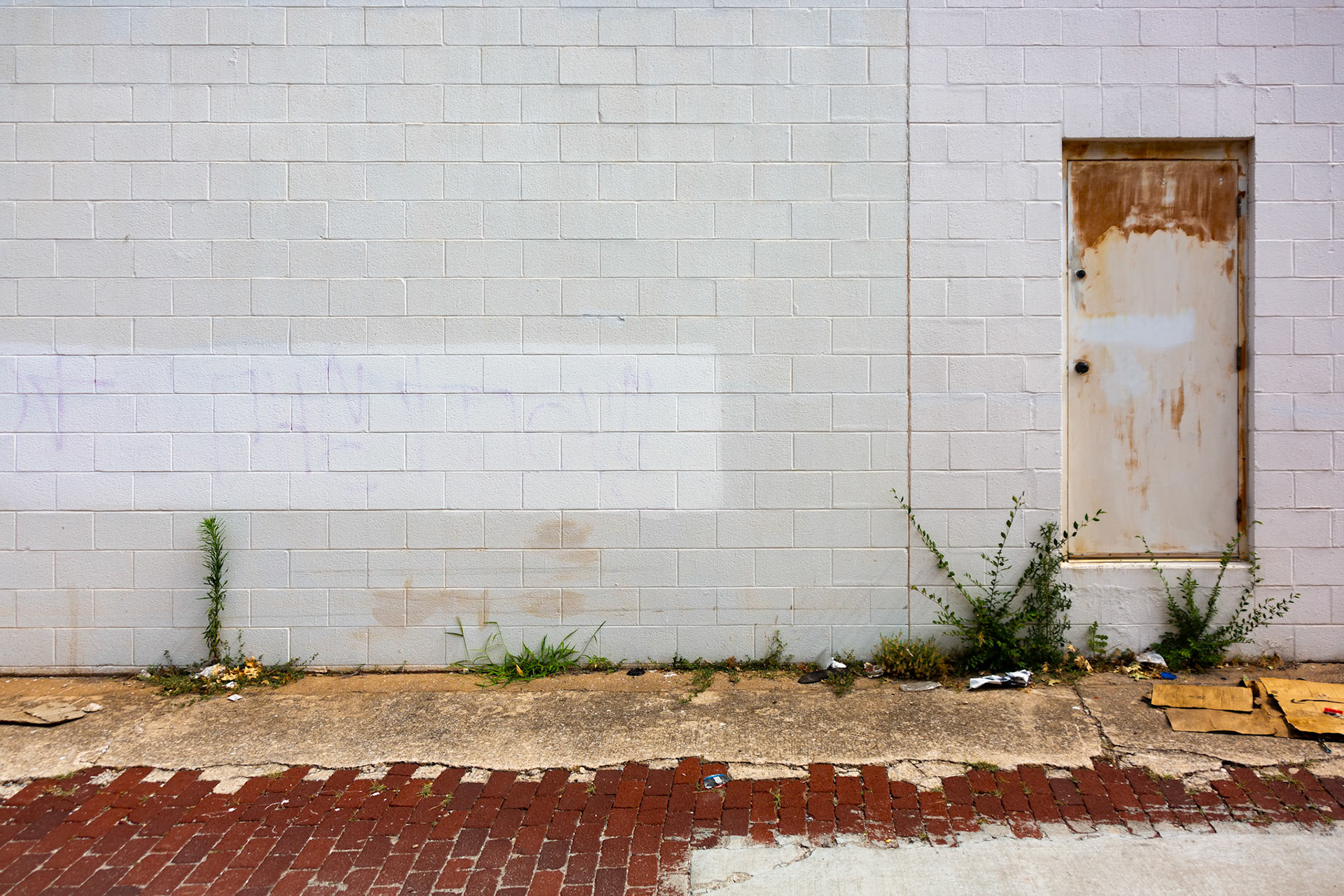 Detag No. 0079, 73102; Digital photograph; © 2023