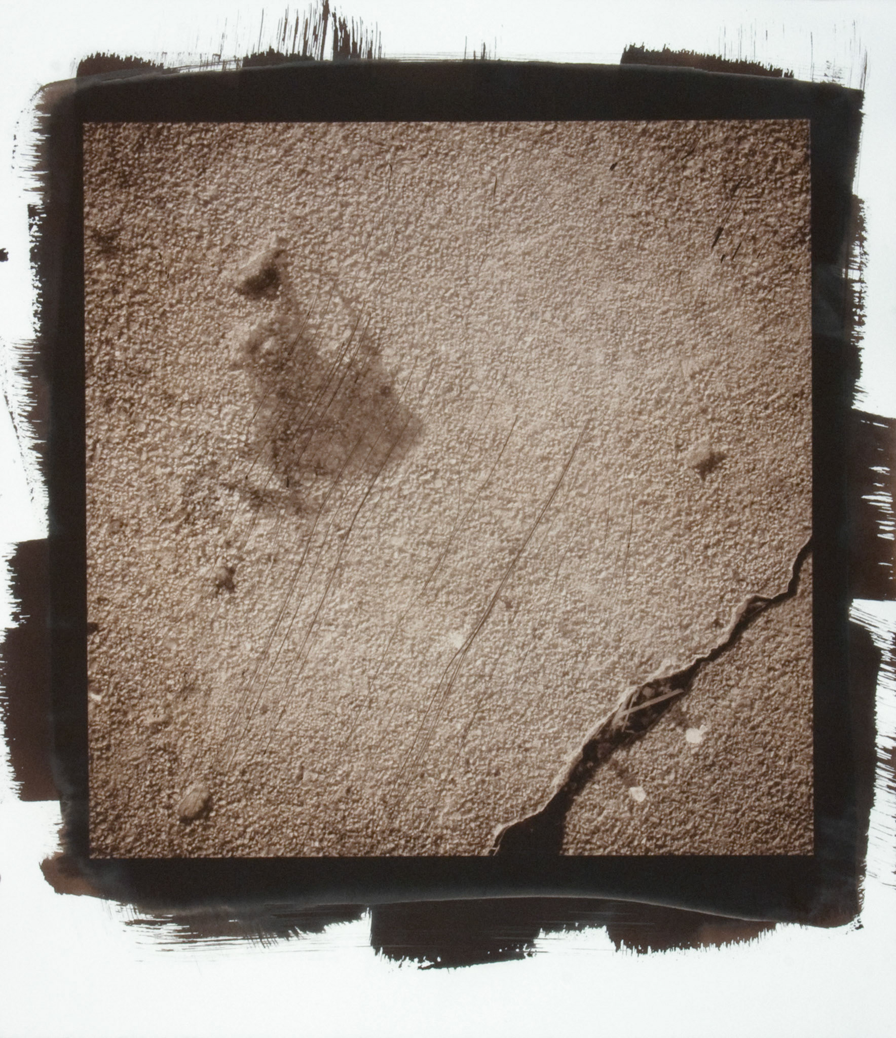 Creature No. 23; Van Dyke photograph, 17 x 15 inches; © 2010