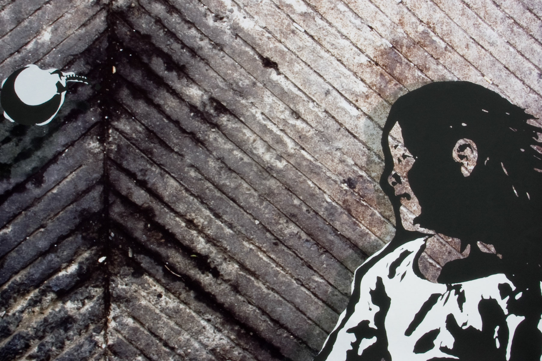 Bomb Girl; Screenprint on C-print, 20x30 inches; © 2009