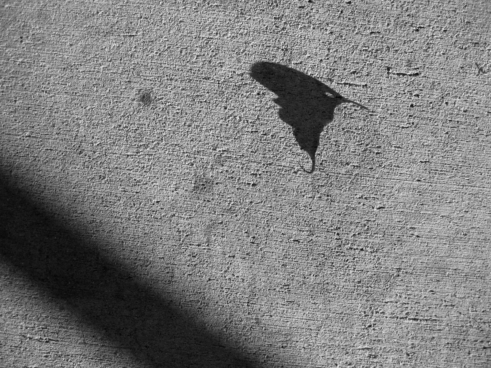 Creature No. 31; Pigment print, 3 x 4 inches; © 2011