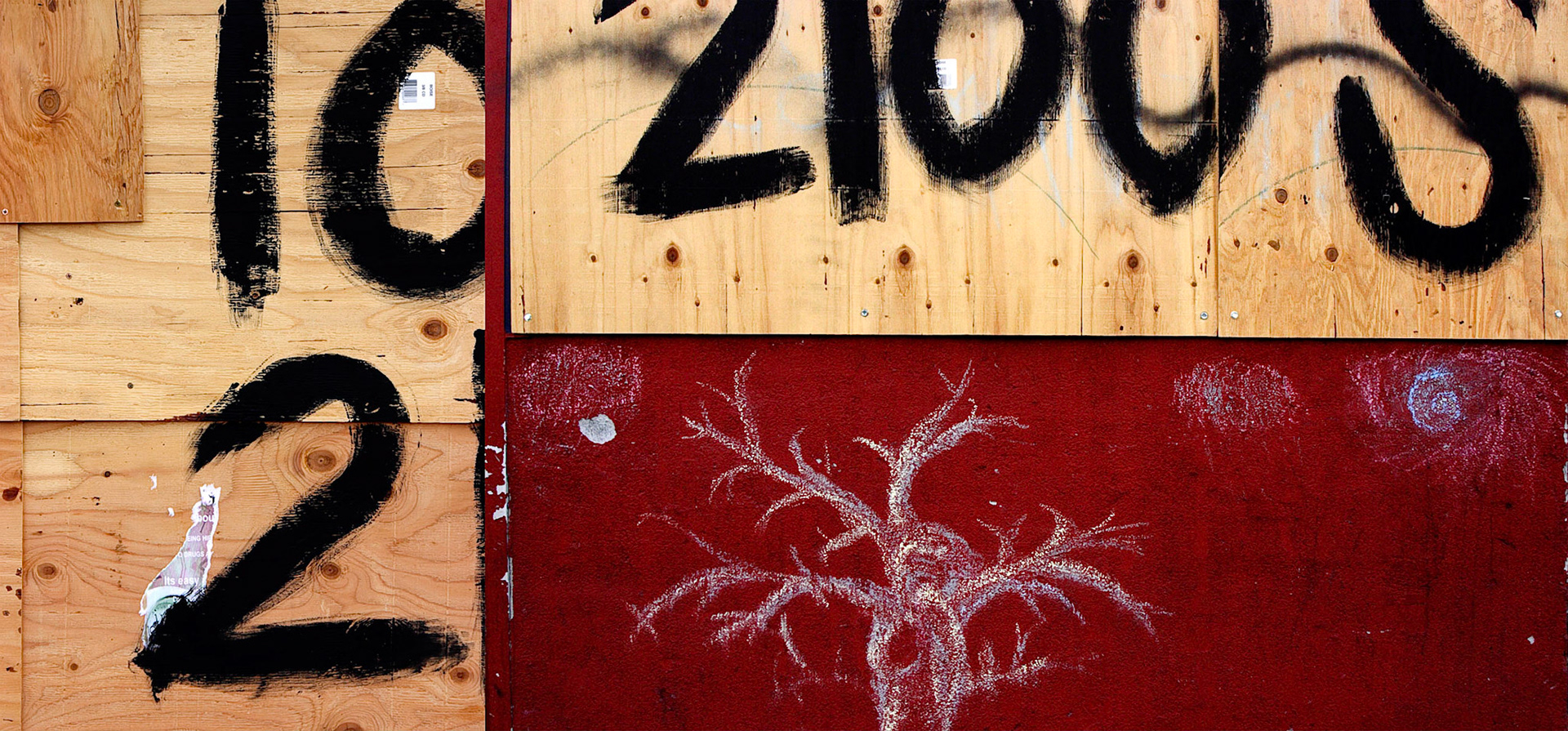 Chalk Tree; Pigment print, 8.4 x 18 inches; © 2007