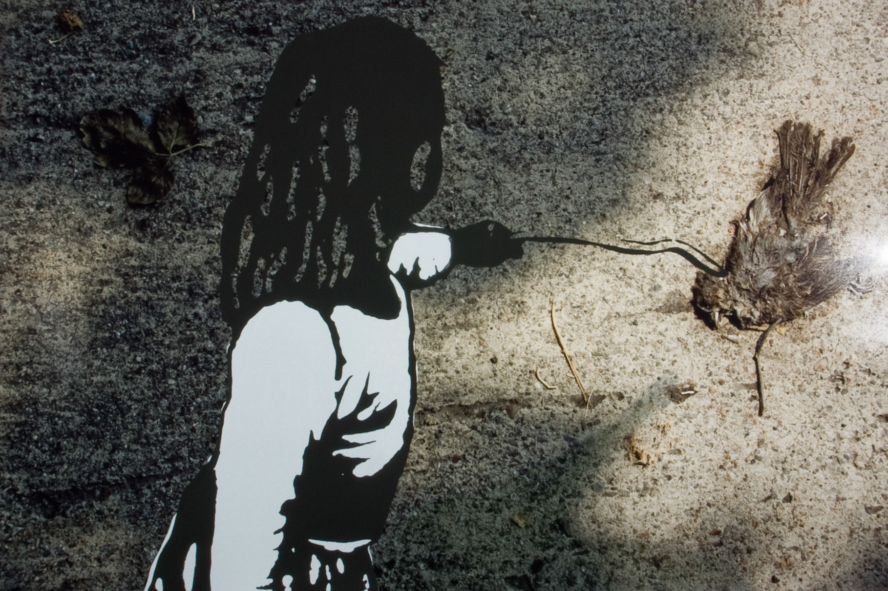 Poke the Bird; Screenprint on C-print, 20x30 inches; © 2009