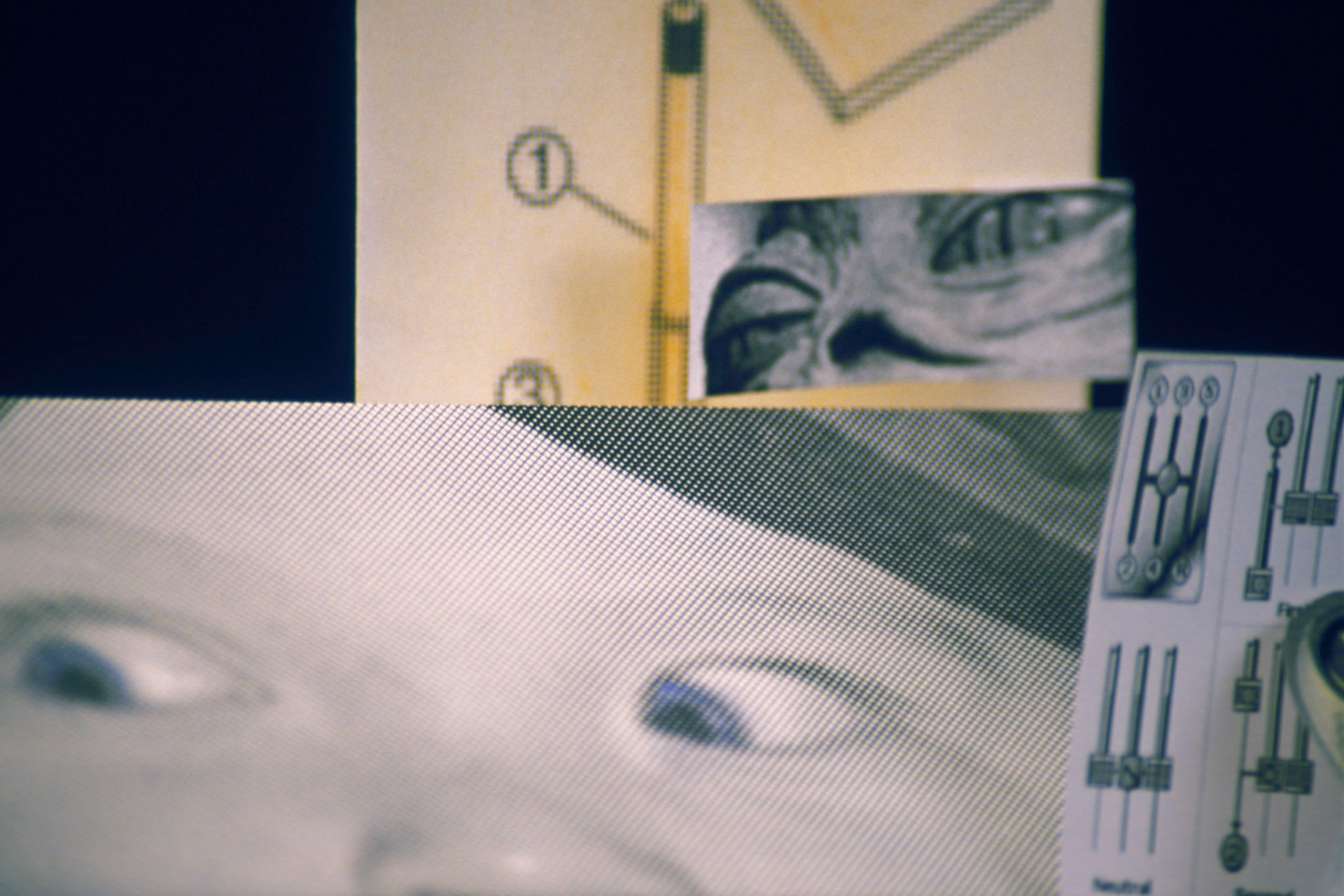 Shifty; Chromogenic print from transparency, 8 x 12 inches; © 2008