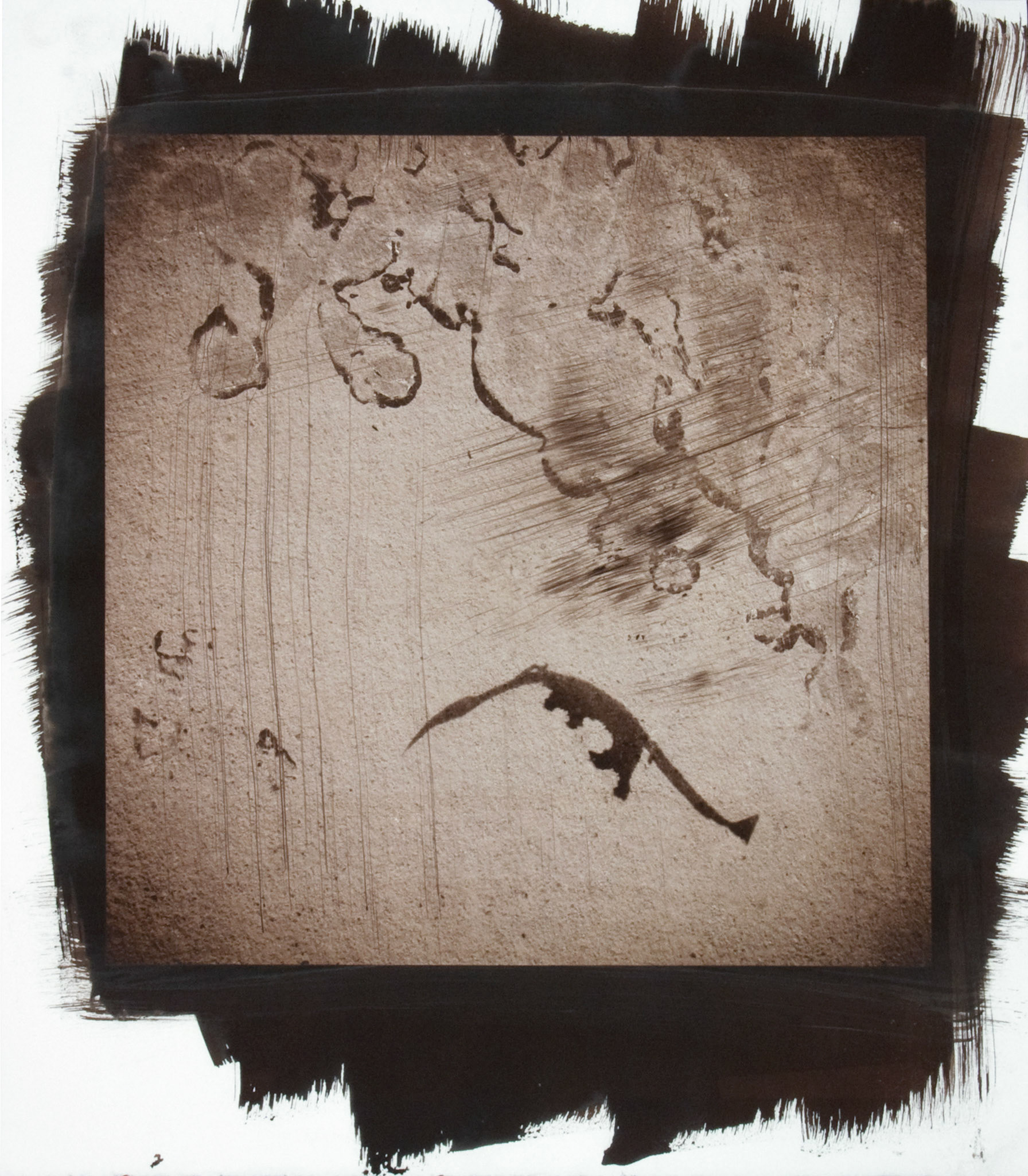 Creature No. 6; Van Dyke photograph, 17 x 15 inches; © 2010