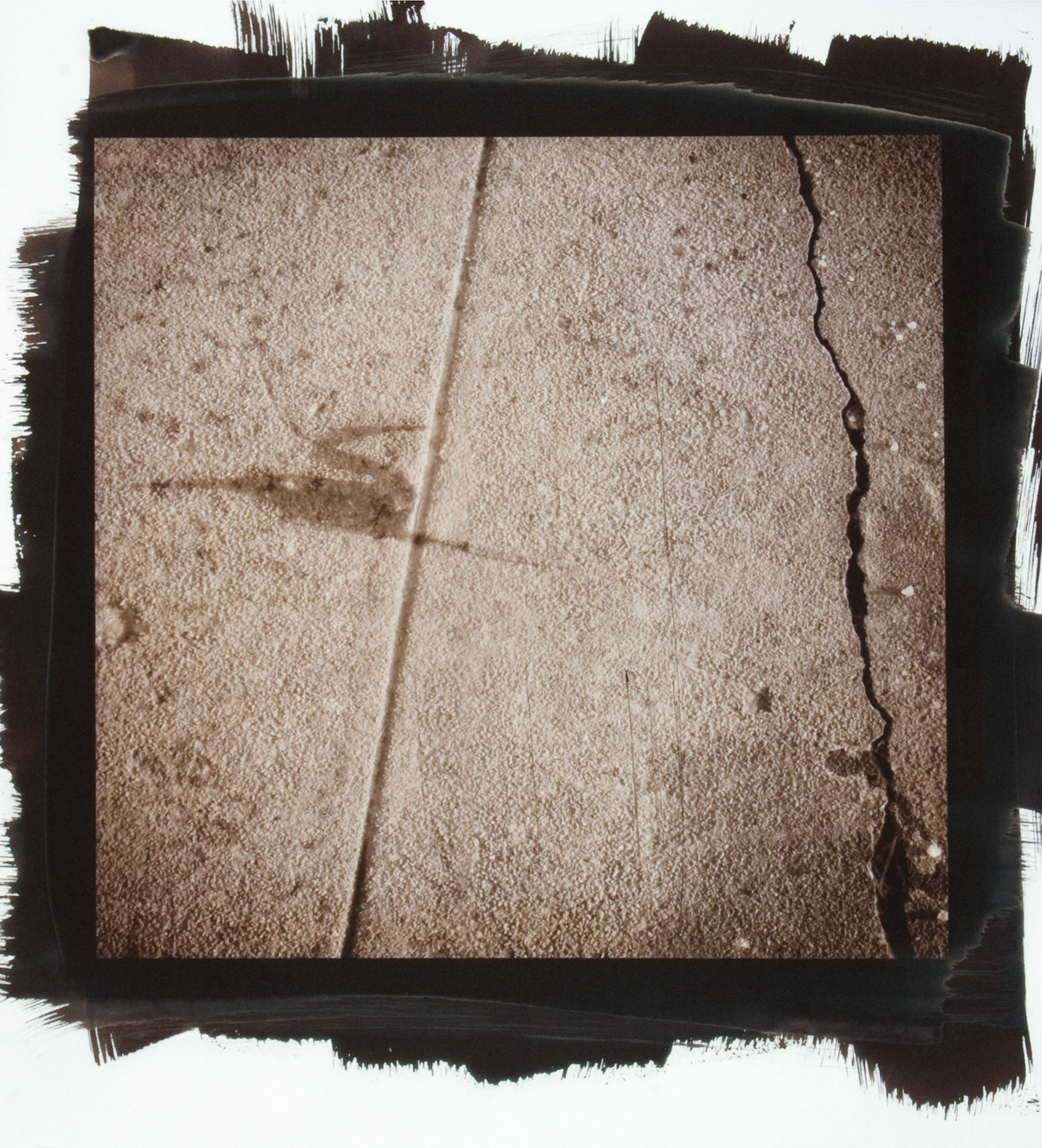 Creature No. 22; Van Dyke photograph, 17 x 15 inches; © 2010