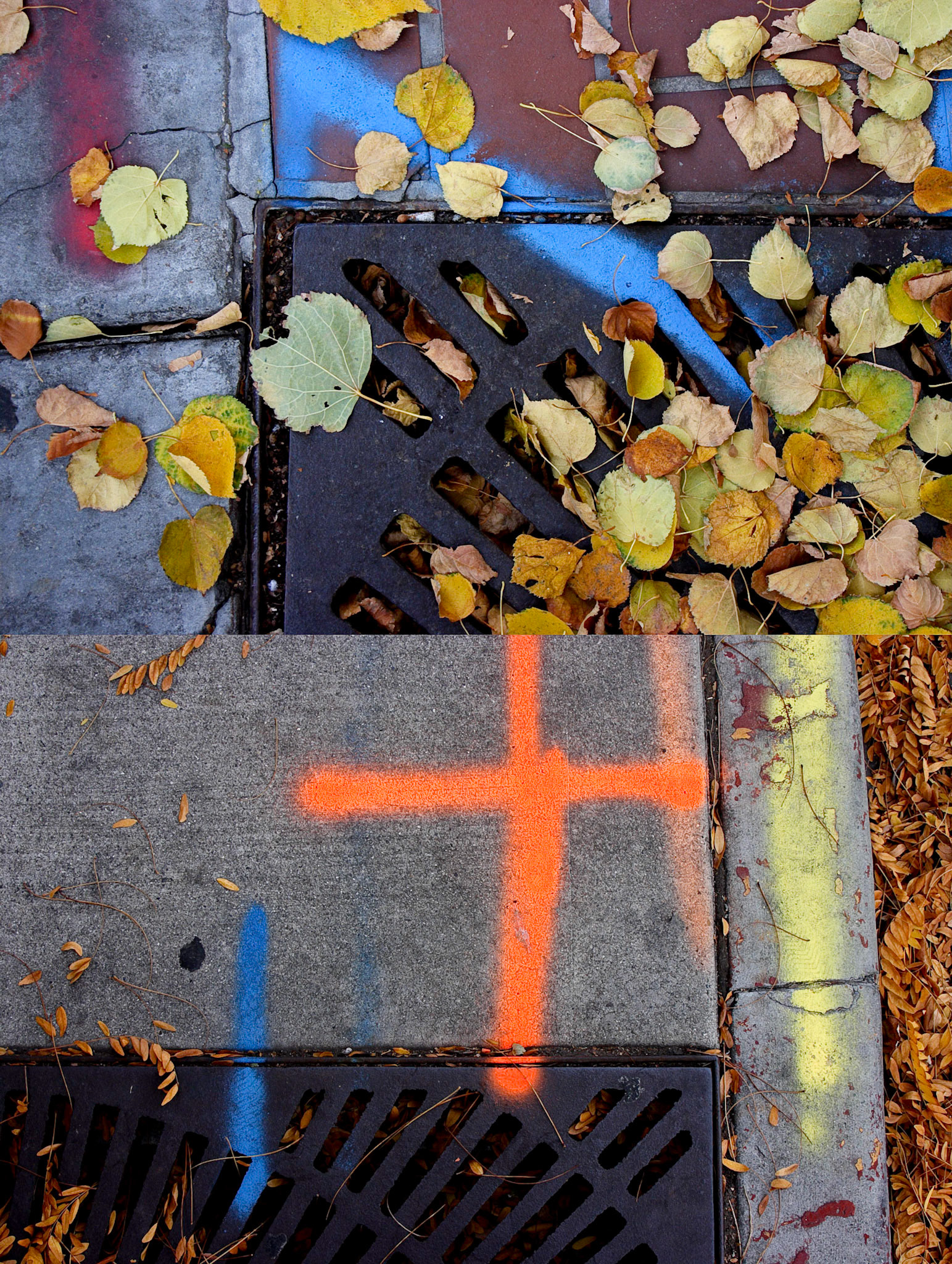 Grates and Leaves; Pigment print, 16 x 12 inches; © 2007