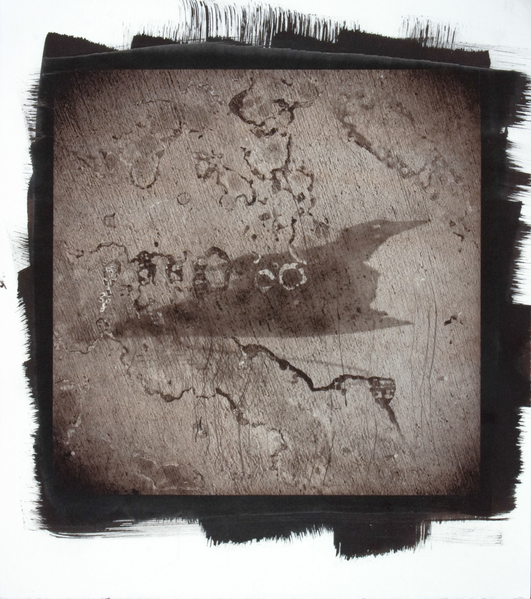 Creature No. 14; Van Dyke photograph, 17 x 15 inches; © 2010