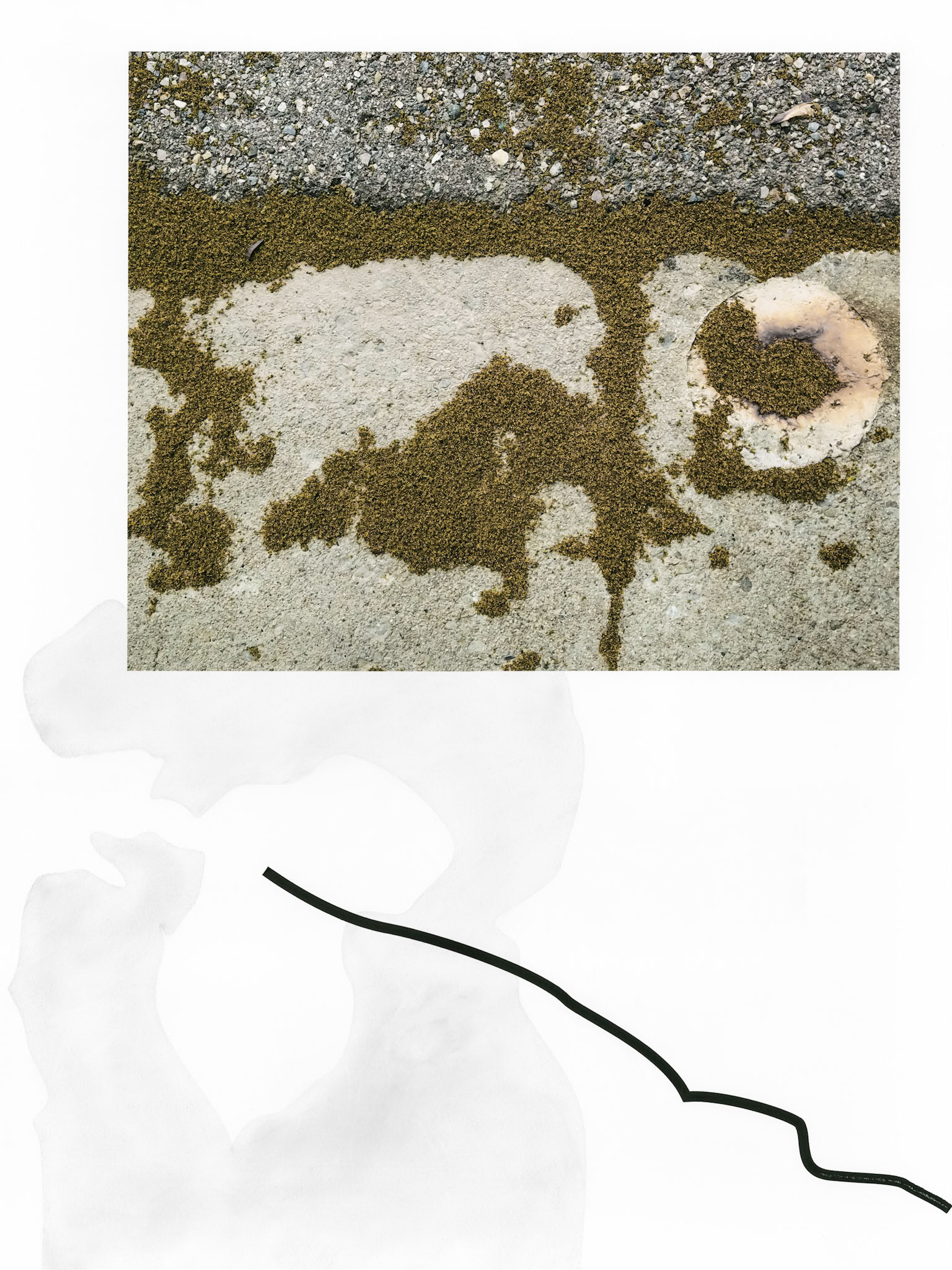 Construct No. M17-6-2 (Pollen Violence); Pigment print with graphite and ink drawings; 24 x 18 inches; © 2019