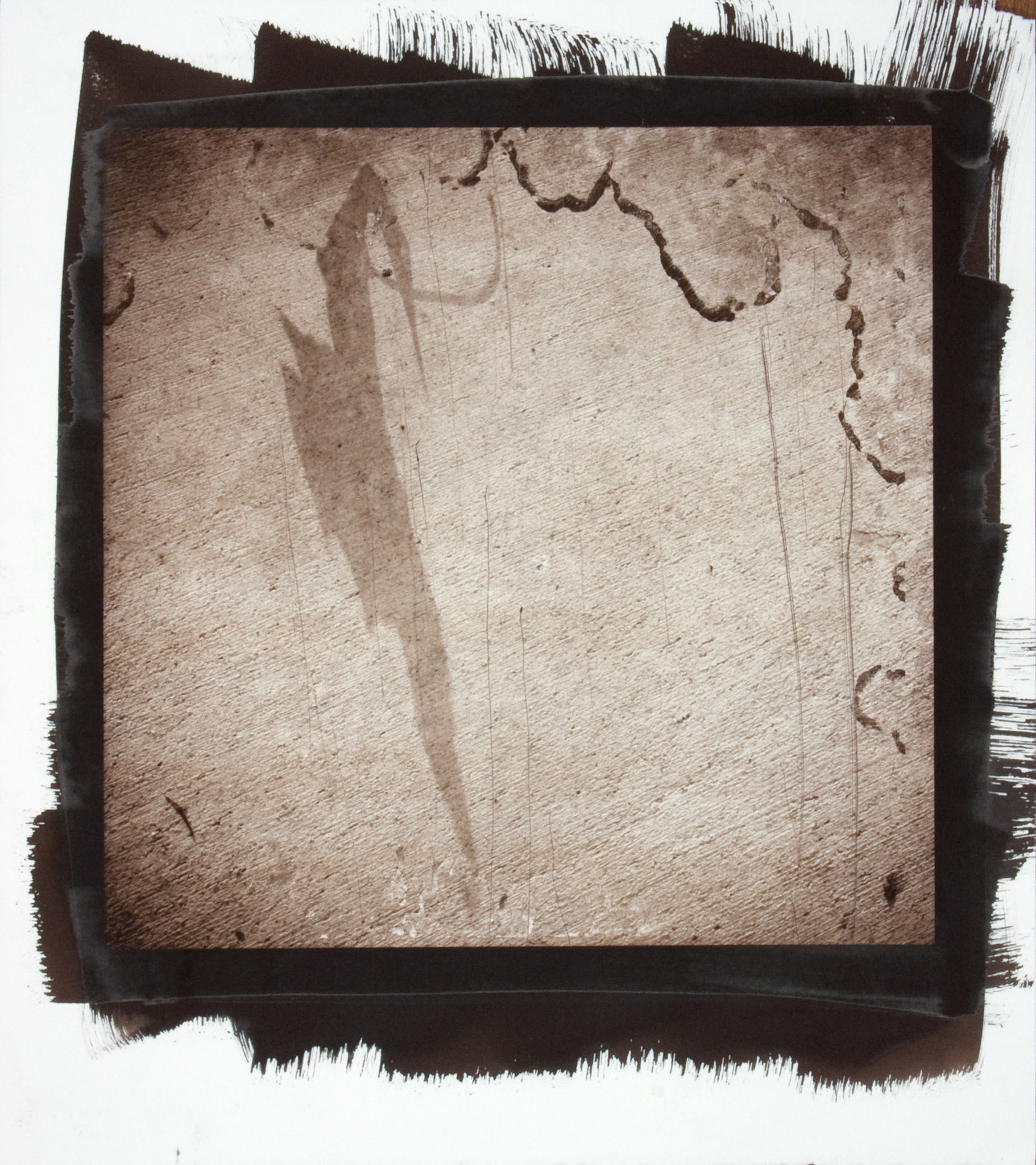 Creature No. 19; Van Dyke photograph, 17 x 15 inches; © 2010
