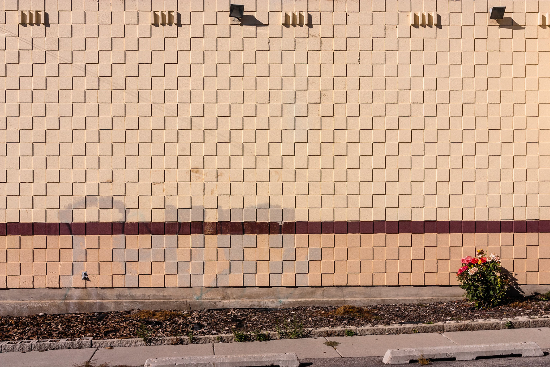 Detag No. 295, 84107; Pigment print; 14 x 21 inches; © 2010