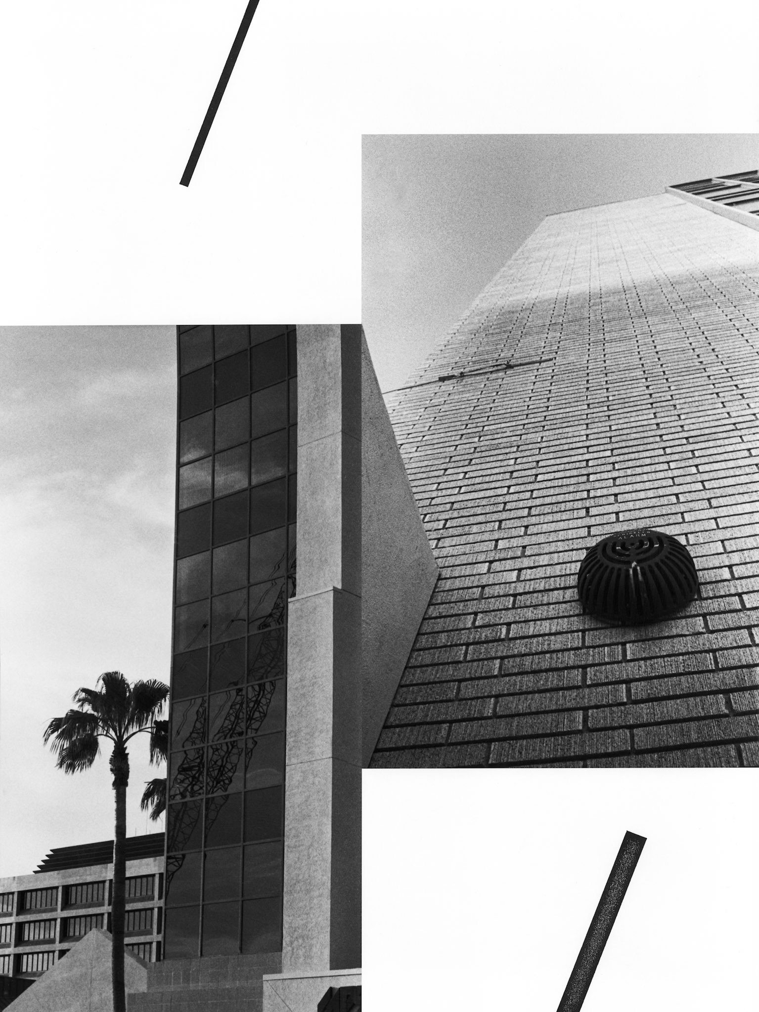 Construct No. 3-5 (Bell & Tree); Pigment print with ink drawing; 24 x 18 inches; ©2021