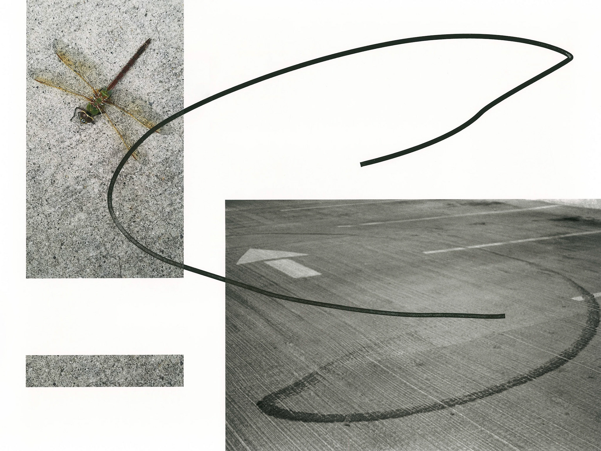 Construct No. M17-9-28 (How to Die with Dignity); Pigment print with ink drawings; 18 x 24 inches; © 2019