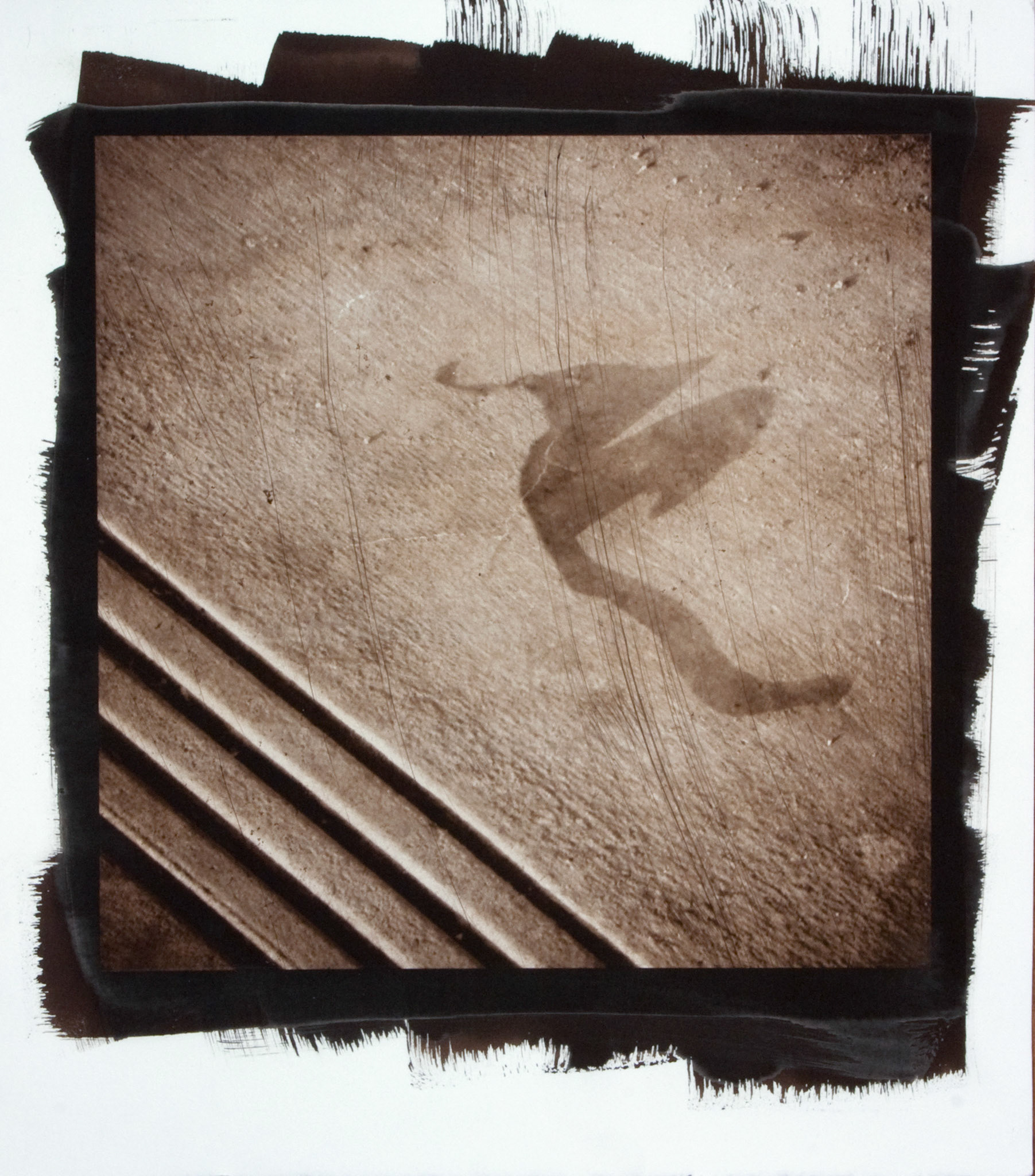 Creature No. 17; Van Dyke photograph, 17 x 15 inches; © 2010