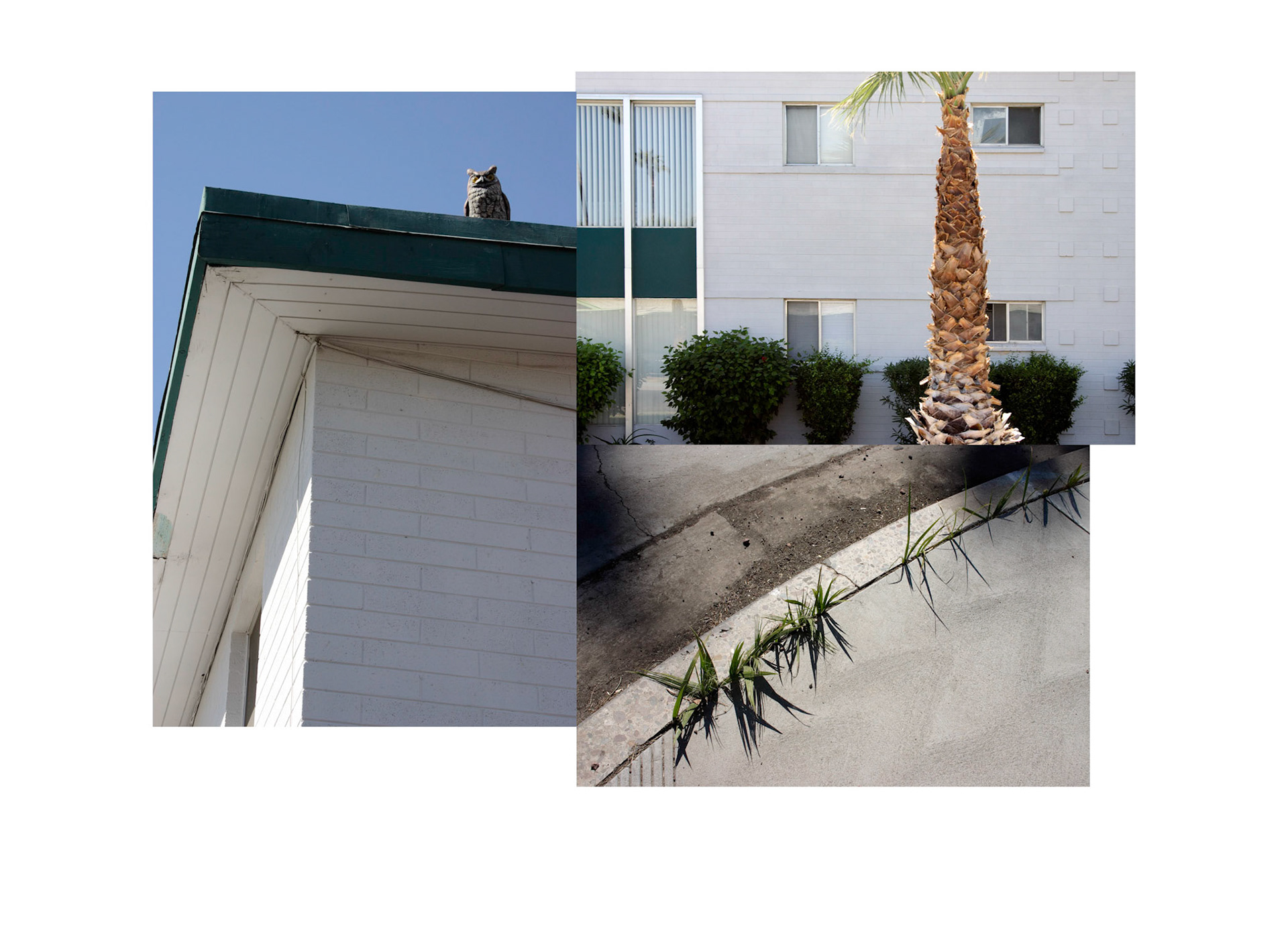 The Neighbors; Pigment print, 13 x 18 inches; © 2006