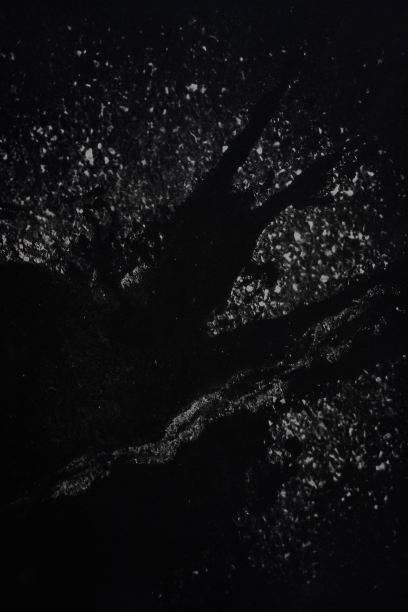 Snail Head Flats, Plate 1; Multiple layer graphite & gum dichromate print, 18 x 12 inches; © 2009