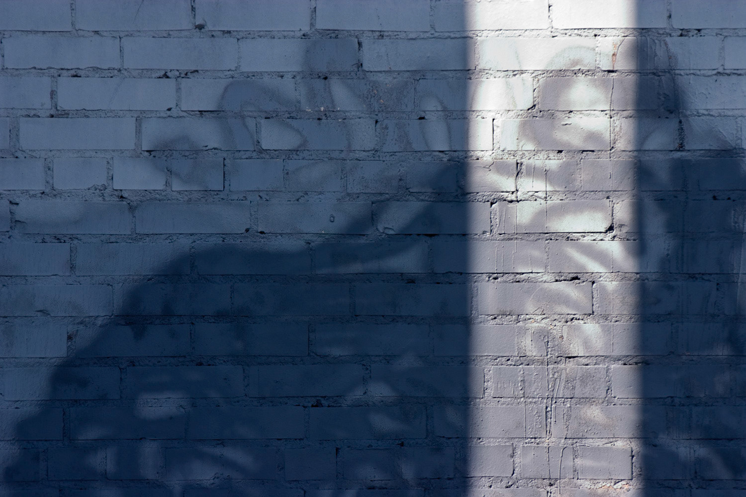 Detag No. 265, 84115; Pigment print; 14 x 21 inches; © 2010