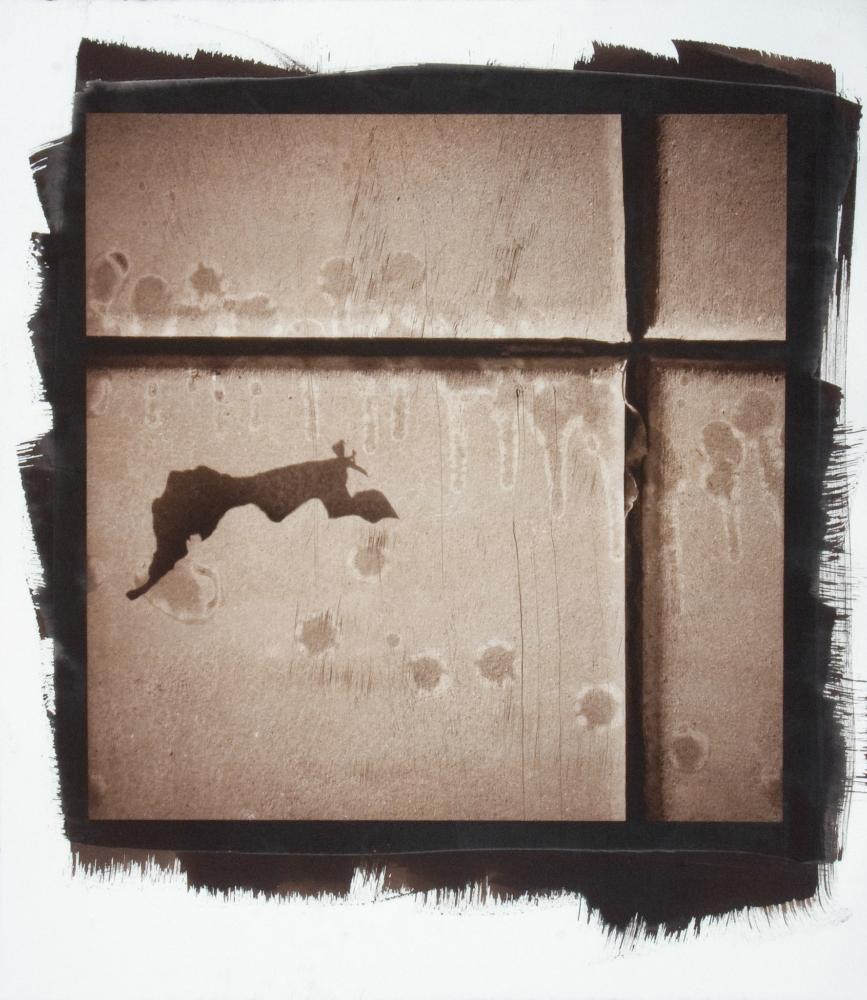 Creature No. 16; Van Dyke photograph, 17 x 15 inches; © 2010