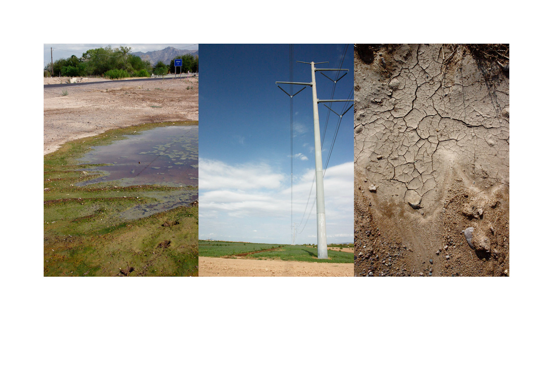 Arizona Is...; Pigment print, 13 x 19 inches; © 2006