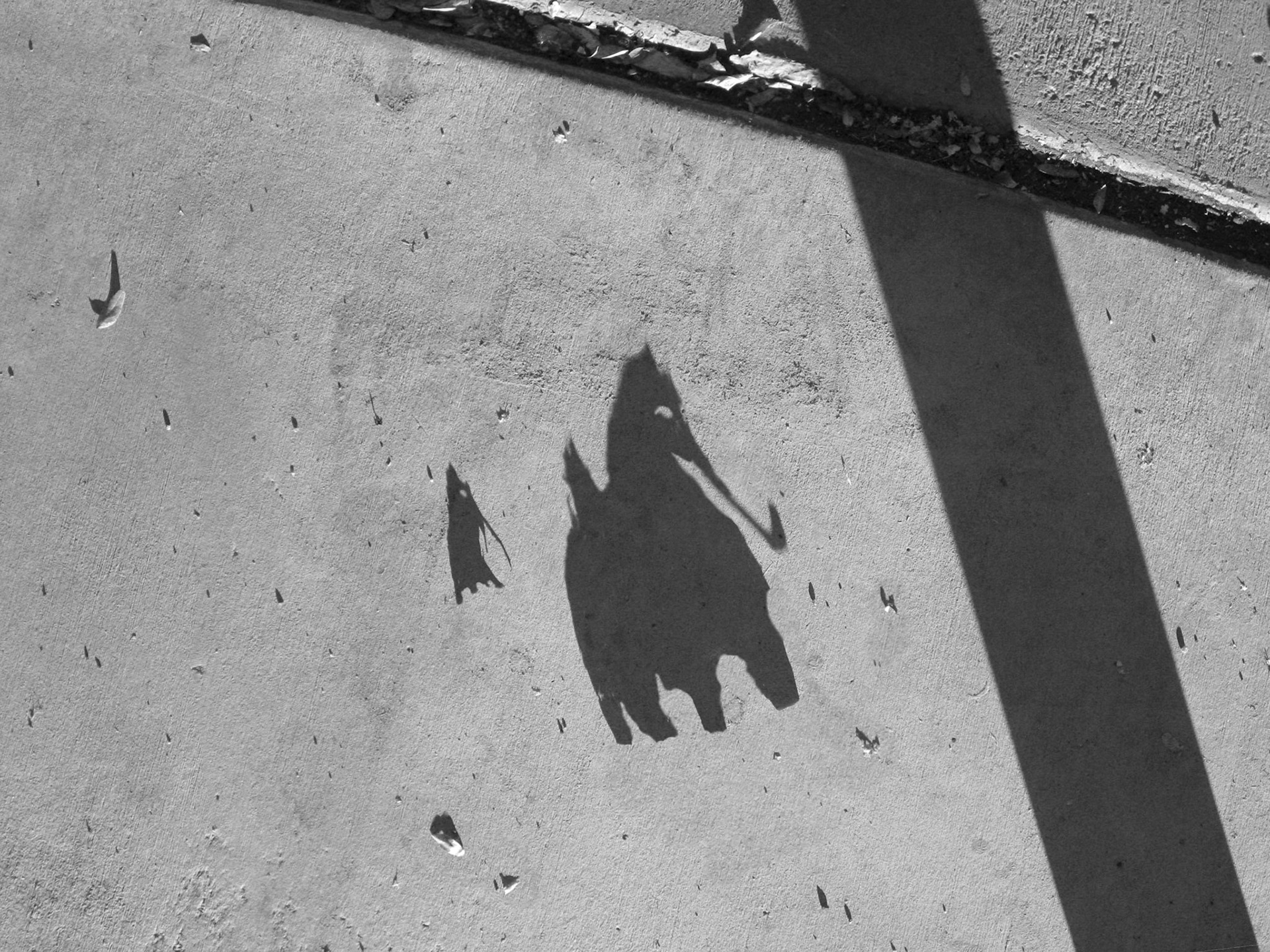 Creature No. 32; Pigment print, 3 x 4 inches; © 2011