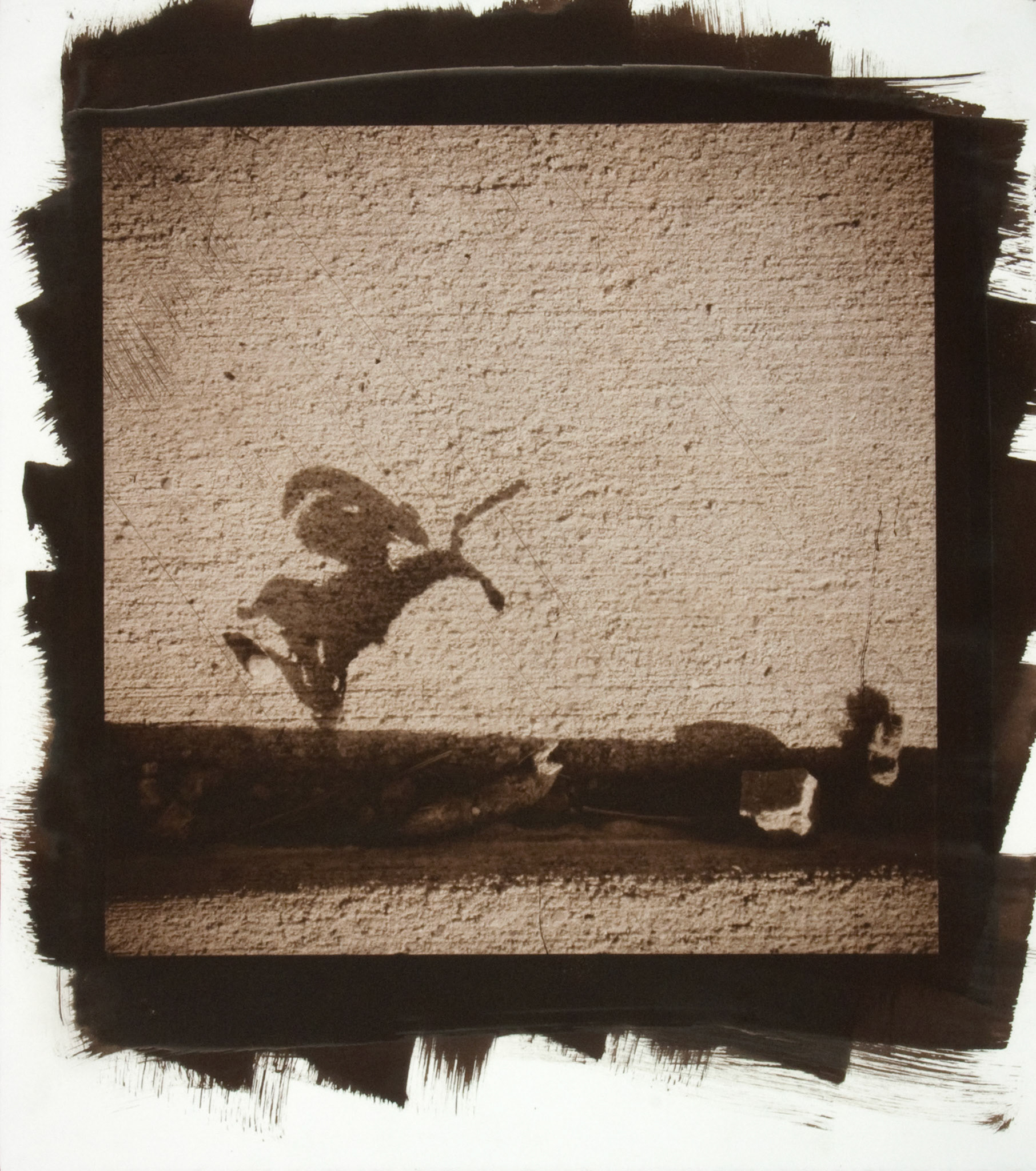 Creature No. 8; Van Dyke photograph, 17 x 15 inches; © 2010