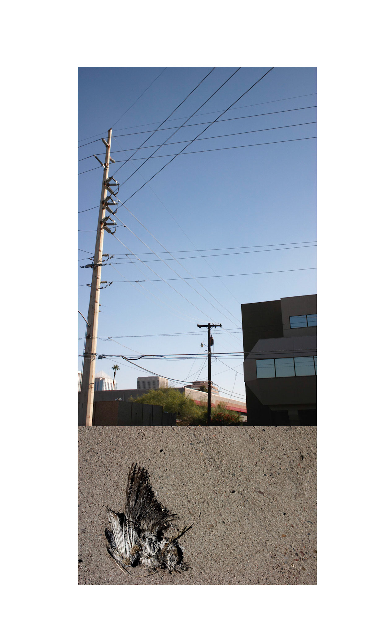 Electric Death; Pigment print, 19 x 11 inches; © 2006