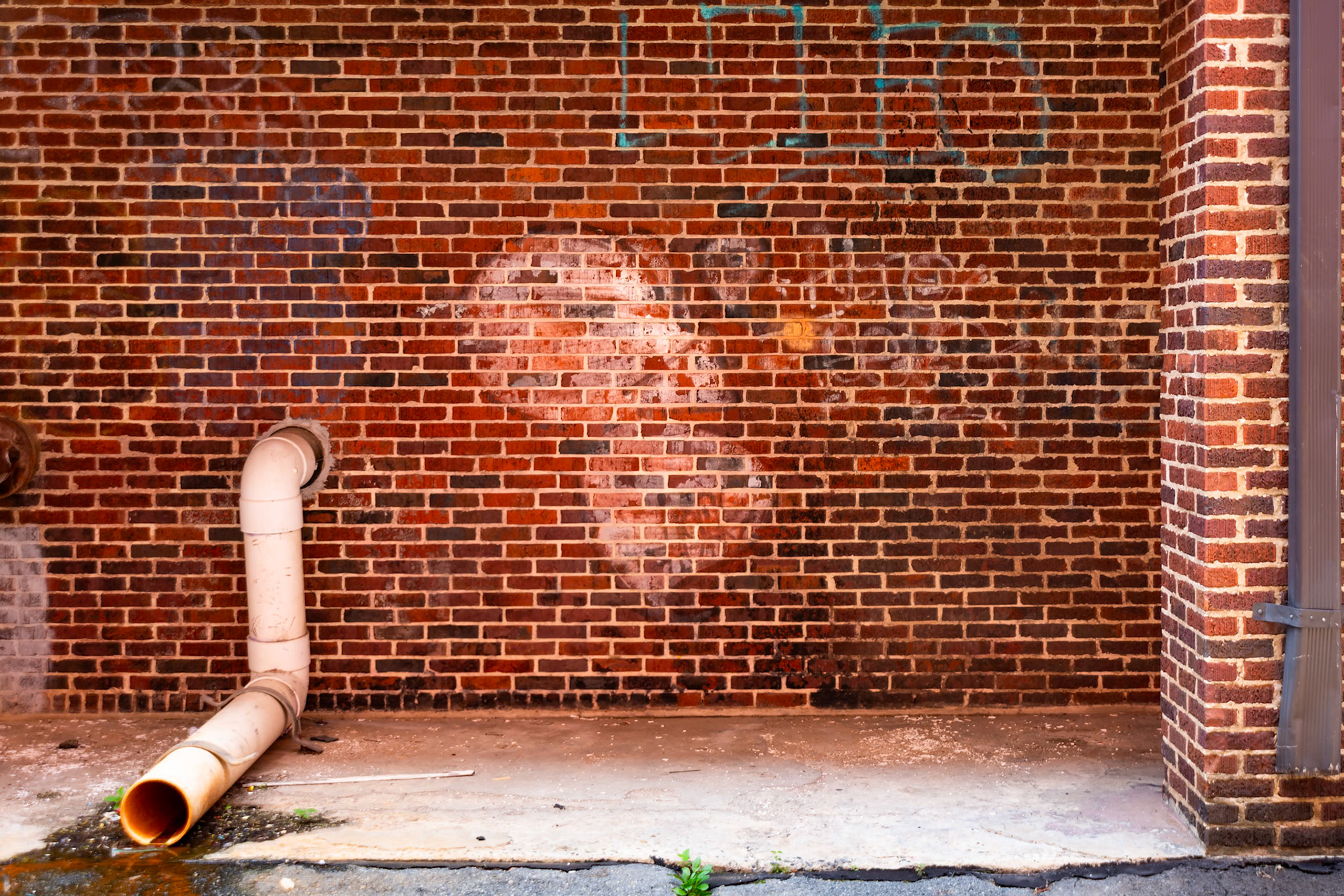 Detag No. 0107, 72201; Digital photograph; © 2023