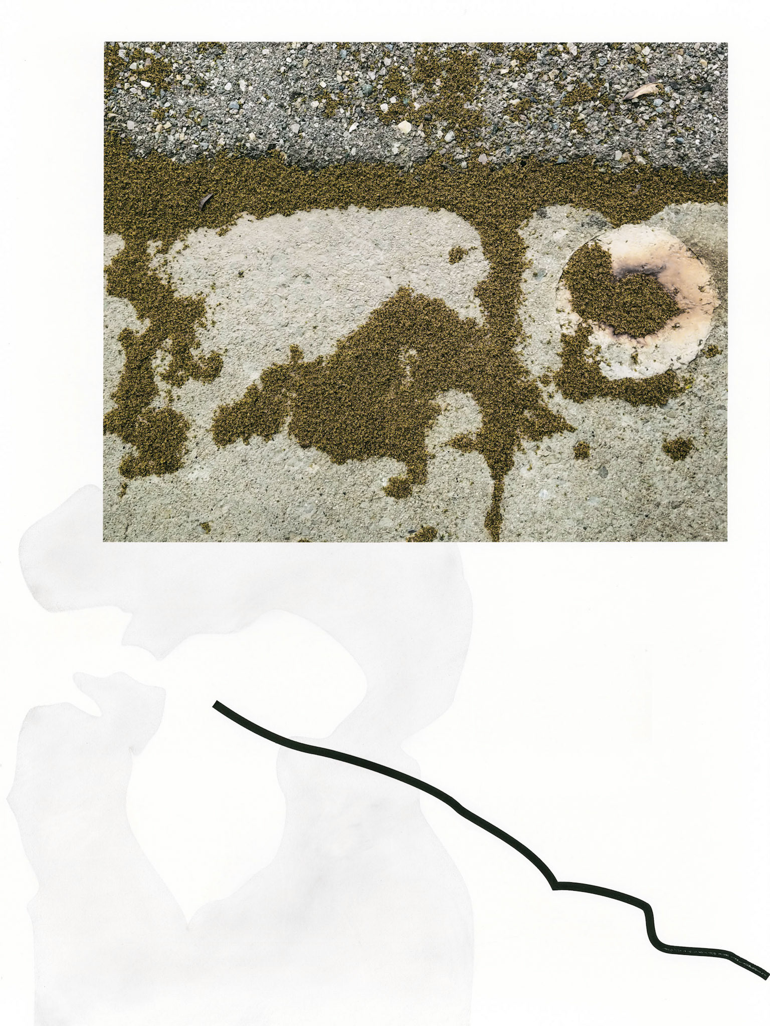 Construct No. M17-6-2 (Pollen Violence); Pigment print, graphite and ink drawing, 24 x 18 inches; © 2019