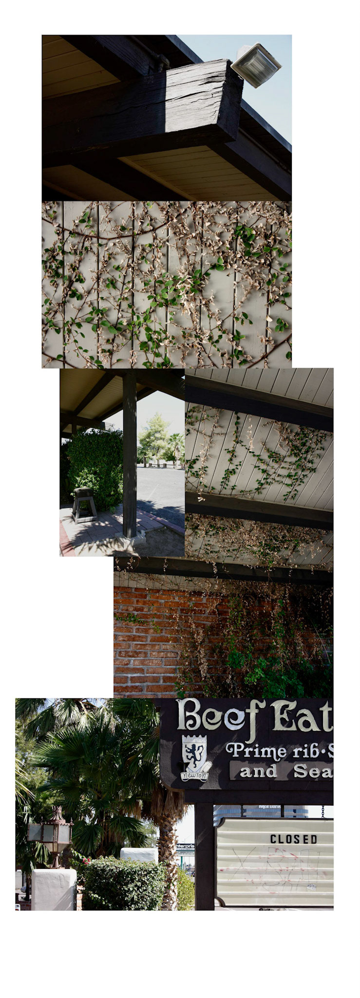 Free With Windshield Repair; Pigment print, 36 x 13 inches; © 2006