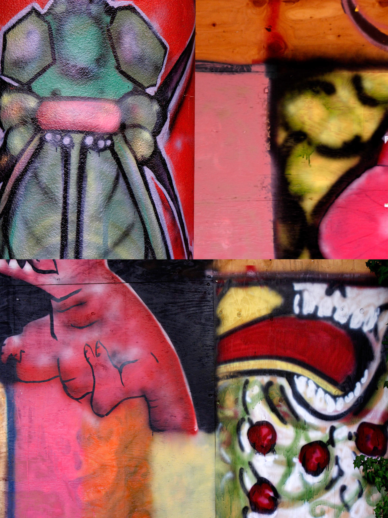 Color Infestation; Pigment print, 16 x 12 inches; © 2007